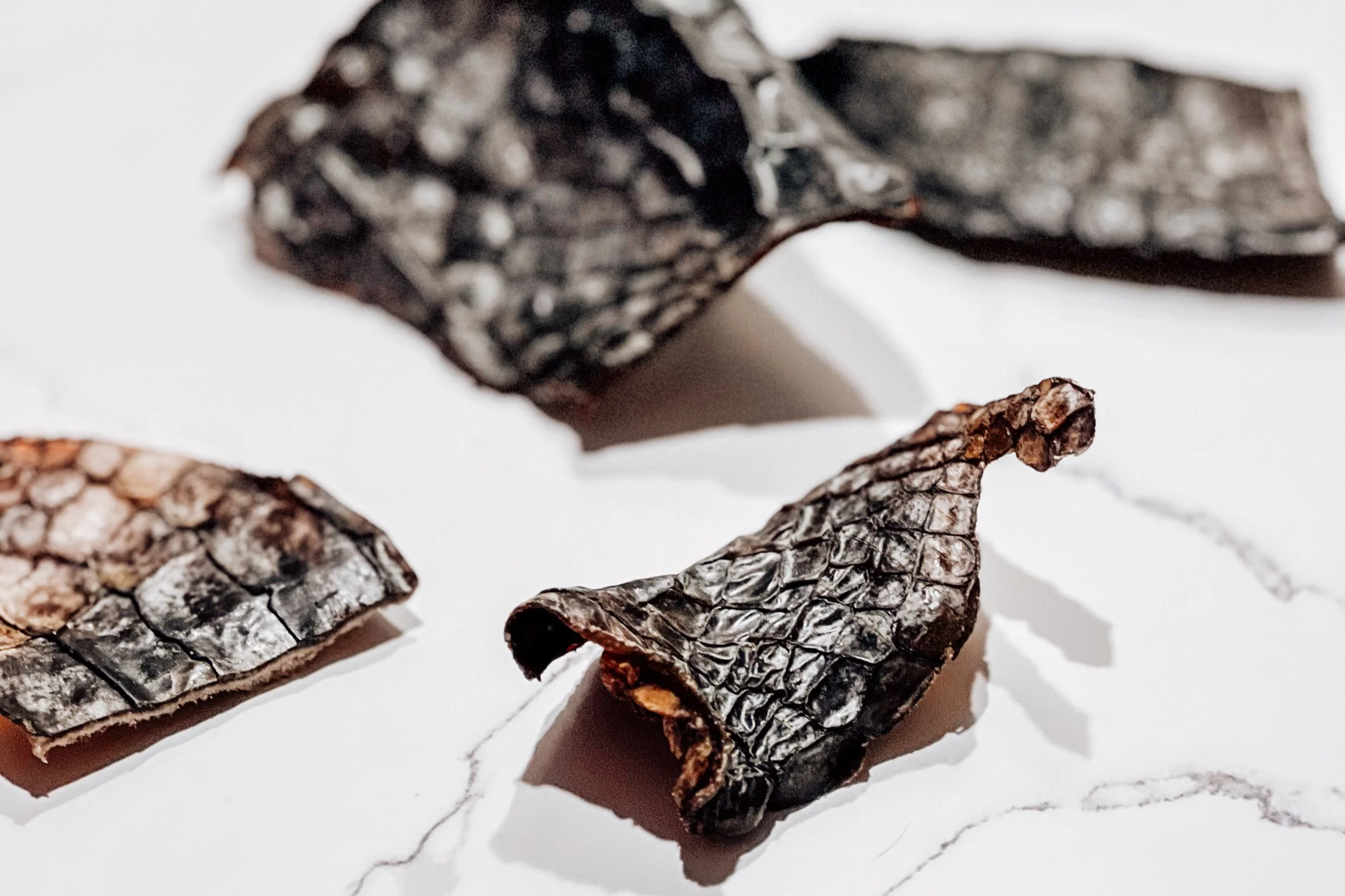 Air-Dried USA Alligator Skin Chews