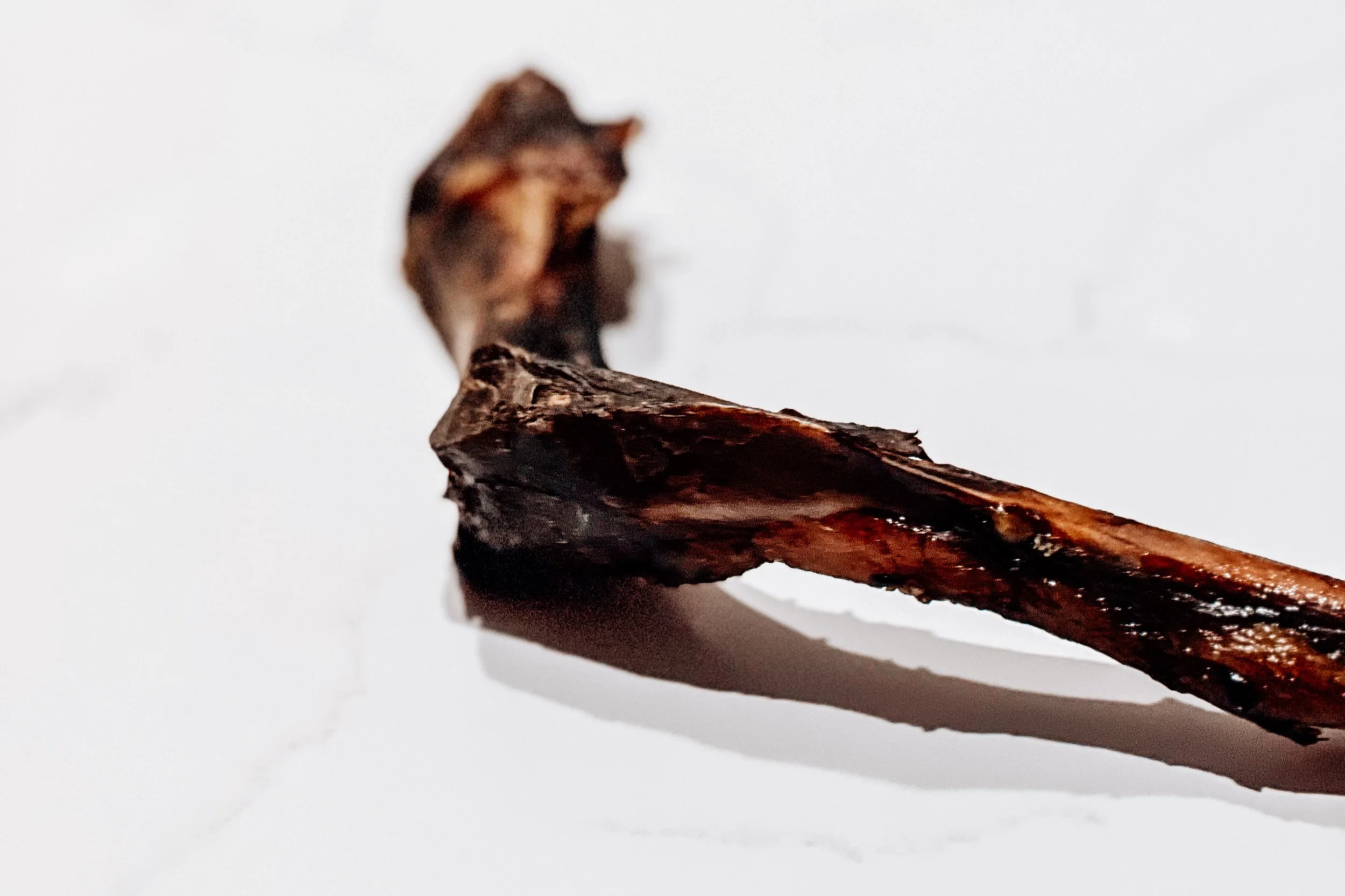 Air-Dried USA Ostrich Wing Bones