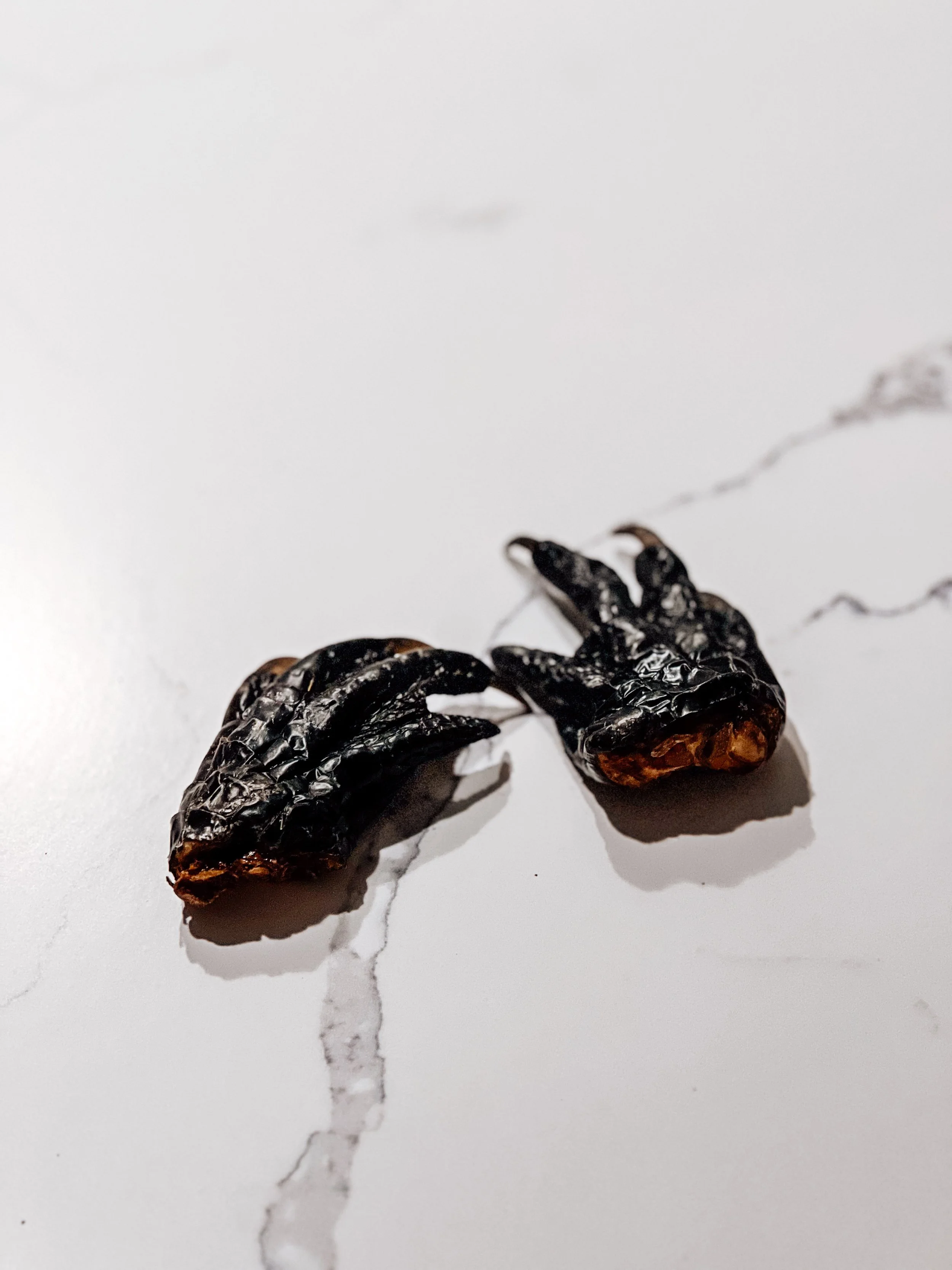 Air-Dried American Alligator Paws, 2XS - Pack of 4