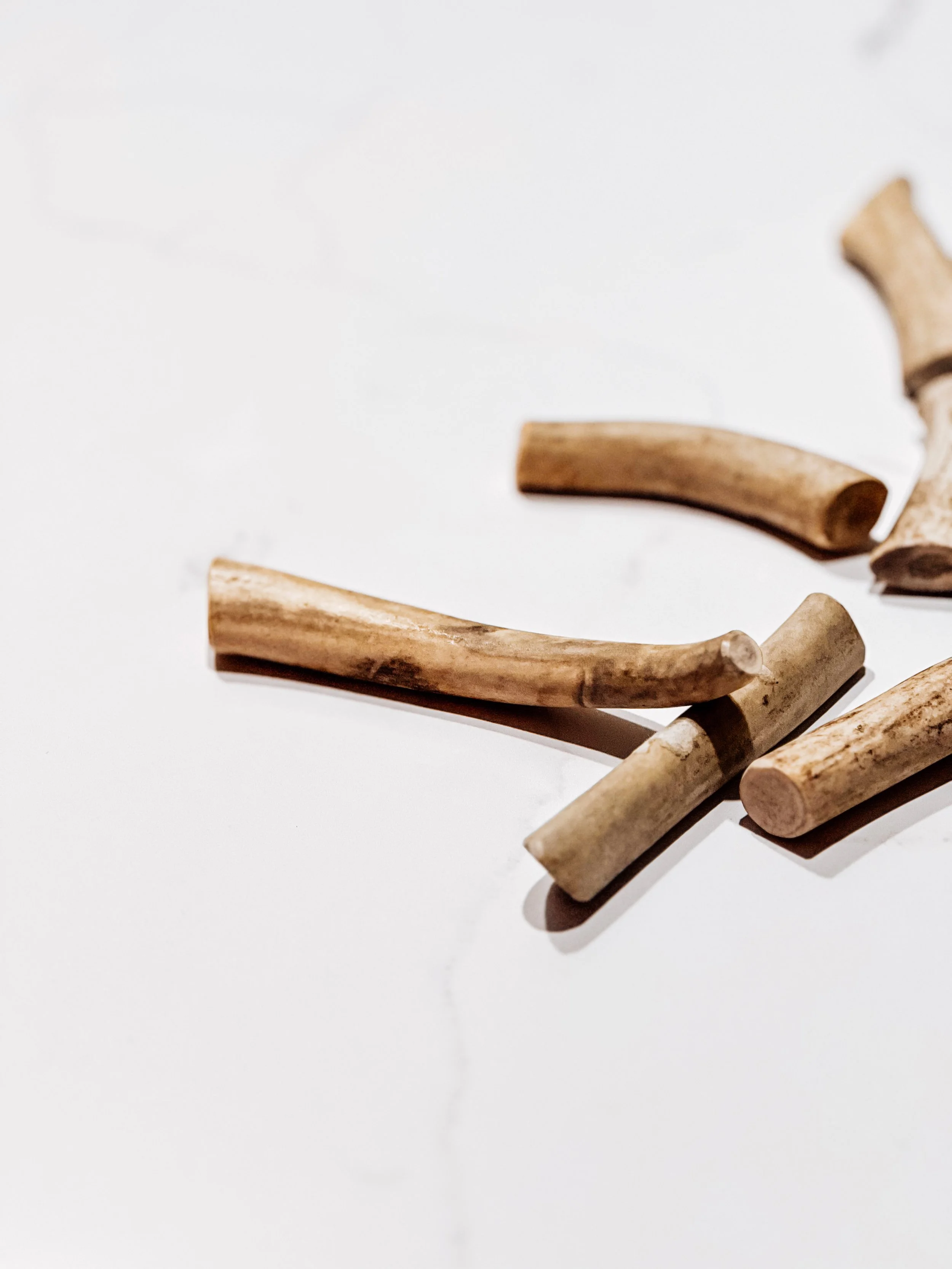 USAReindeerAntler_SM_2.JPG