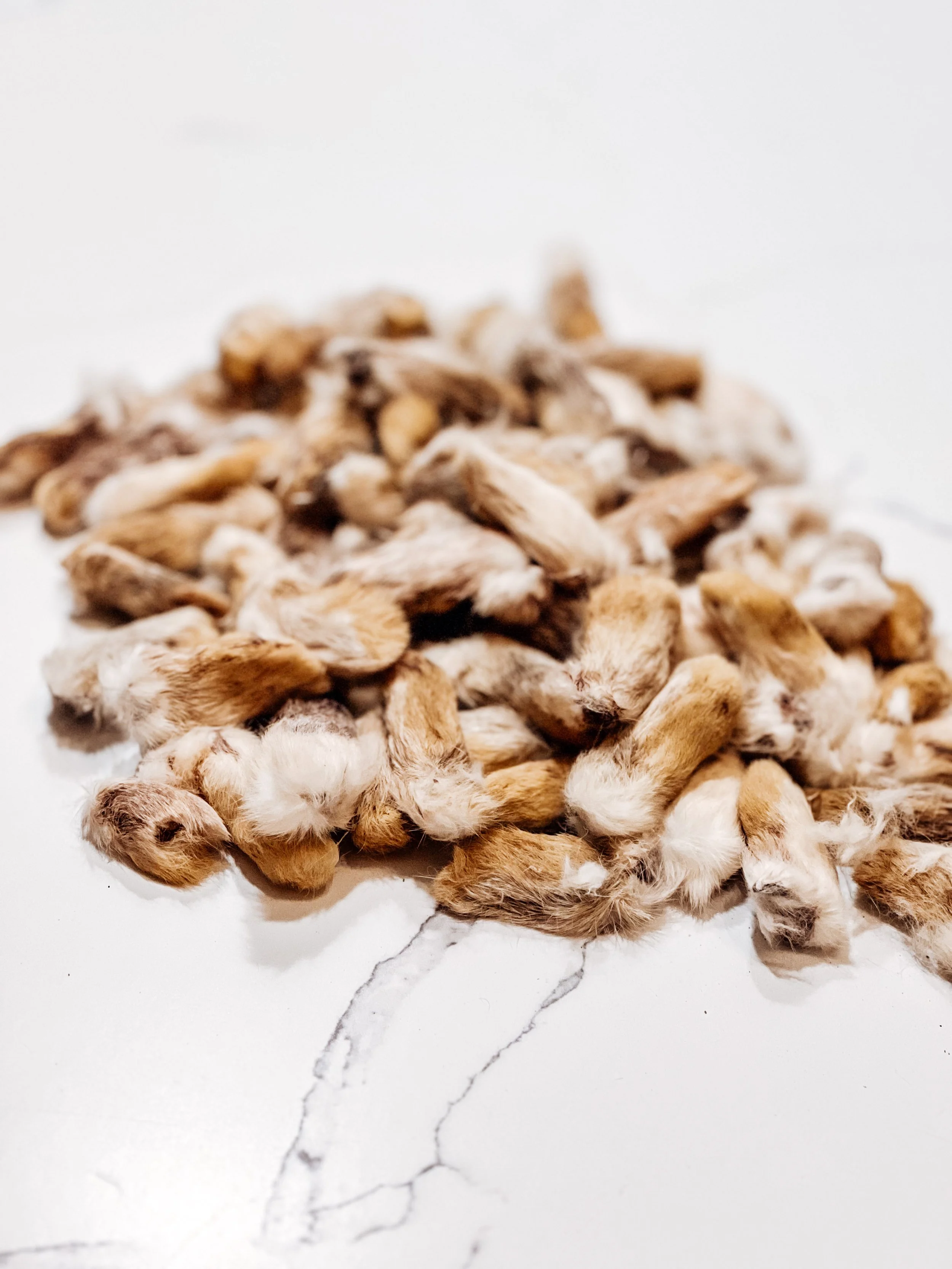 Air-Dried USA Furry Rabbit Front Feet, 2