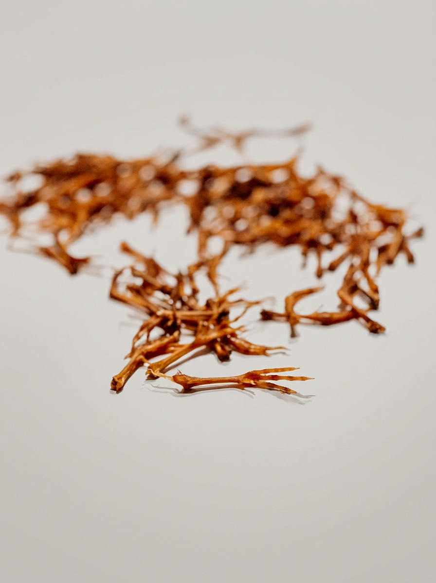 Mosaic Air-Dried American Quail Feet, 3 oz (Copy)