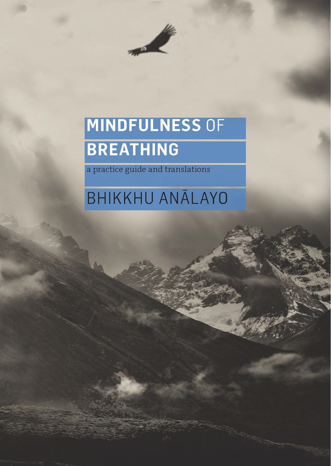 Screen Shot 2024-11-03 at 6.55.51 PM.png