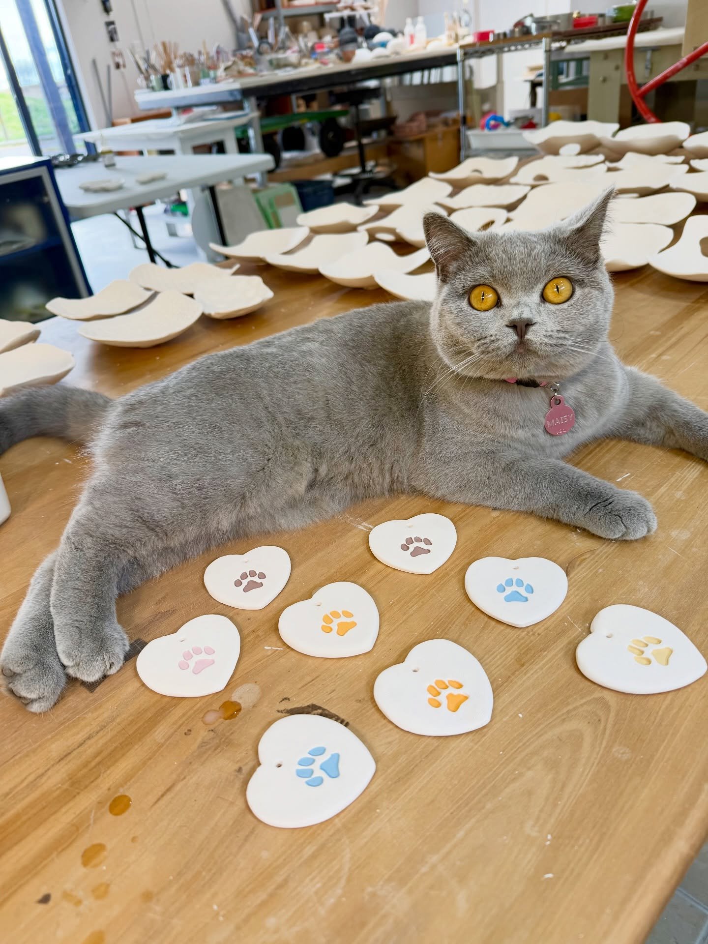 Glazing day with my studio buddy 😻- Miss Maisy