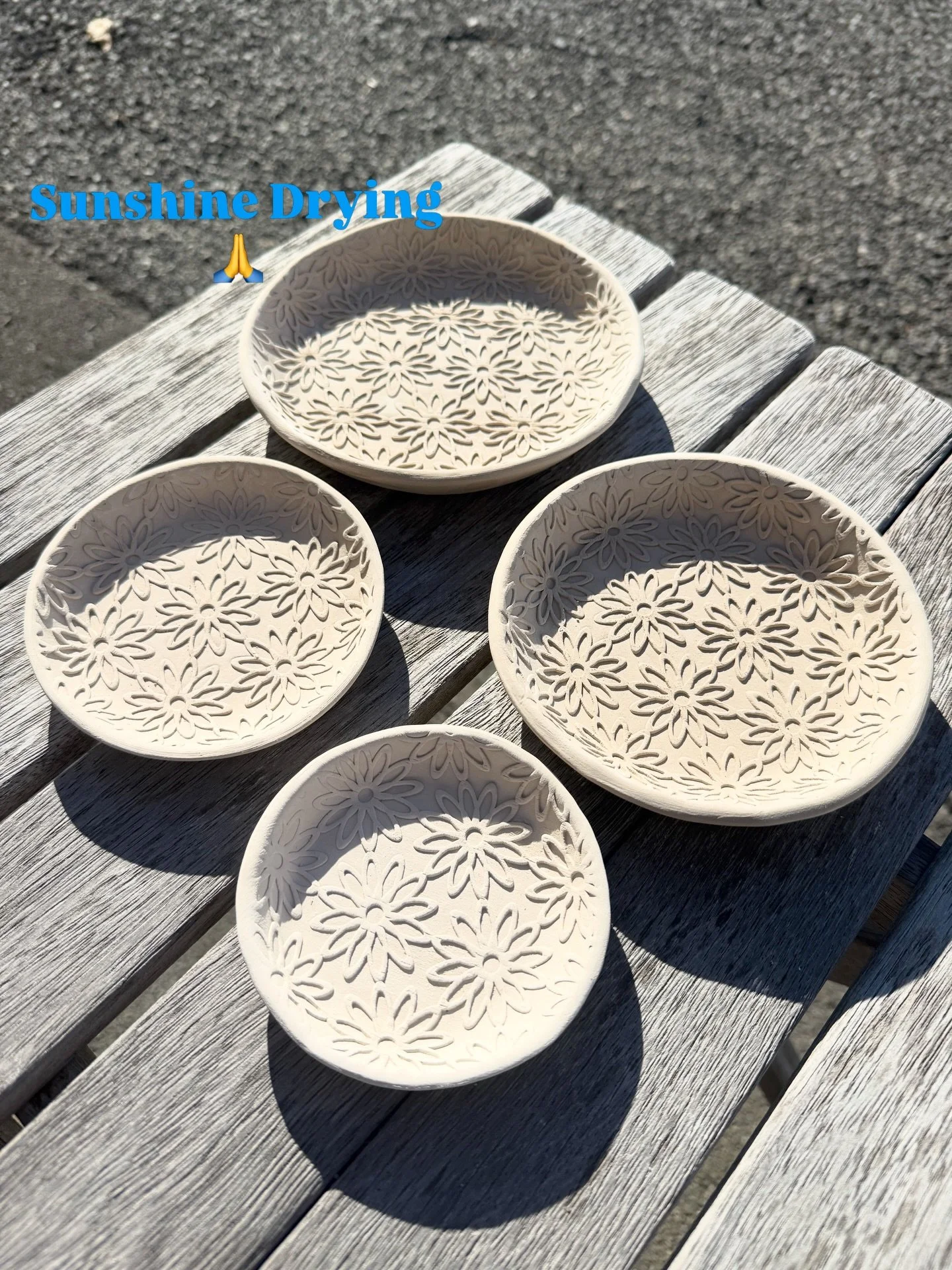 Nesting plates - Hawkes bay sun doing its thing 🙏☀️🙏