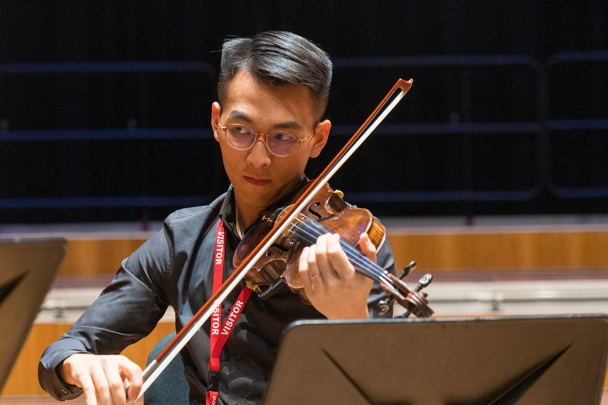 Chinese and Western Strings 15.8-76.JPG
