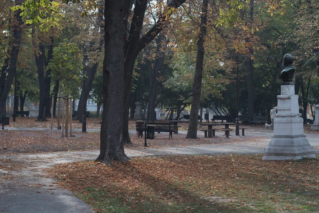 DSC04366.jpg