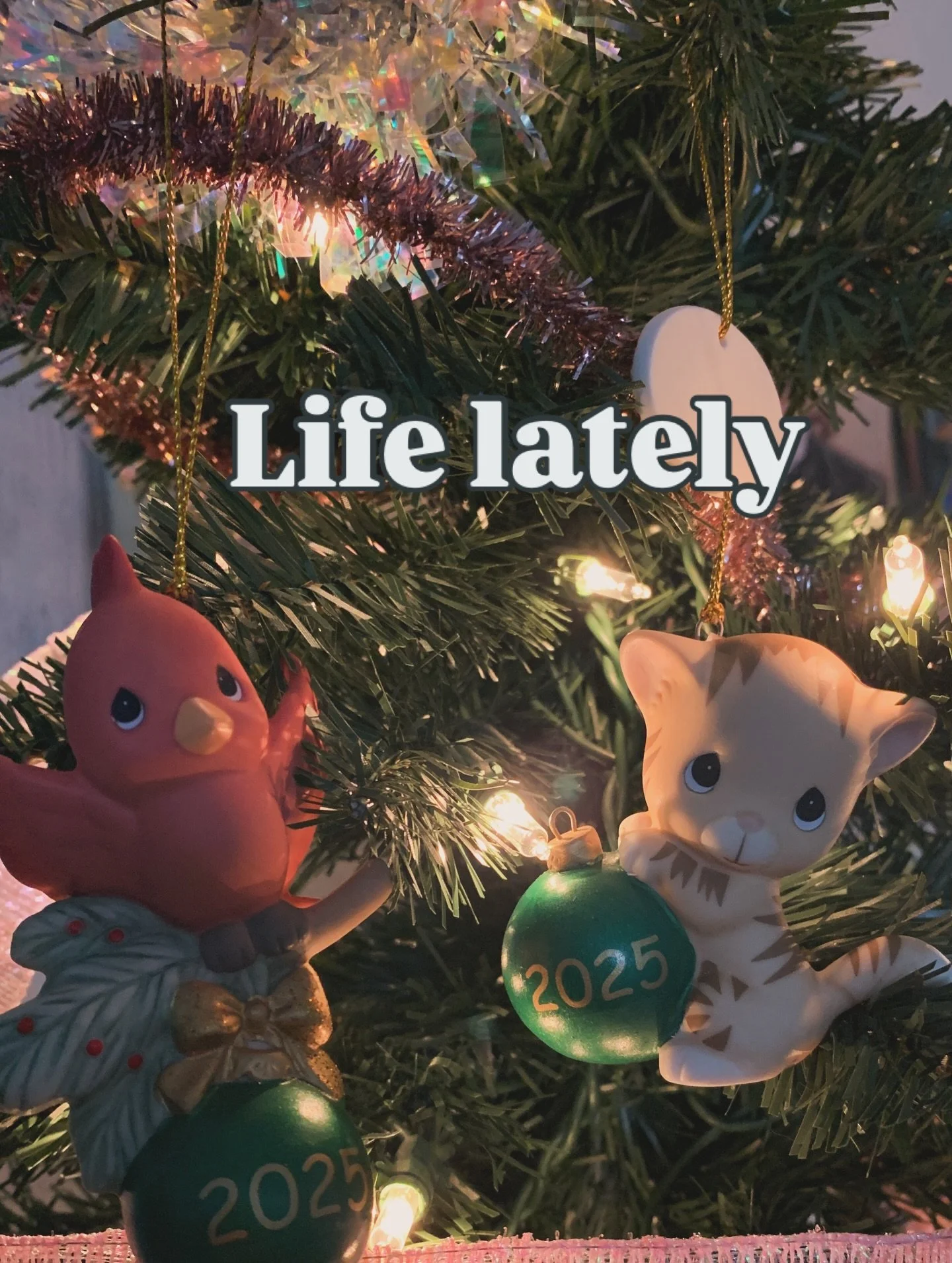 Cranked out two short stories, tons of material that probably won&rsquo;t go anywhere, and some bits and pieces for my dissertation. Not much writing happening currently but that&rsquo;s okay. 🎄

2025 has been full of amazing experiences, and 2026 i