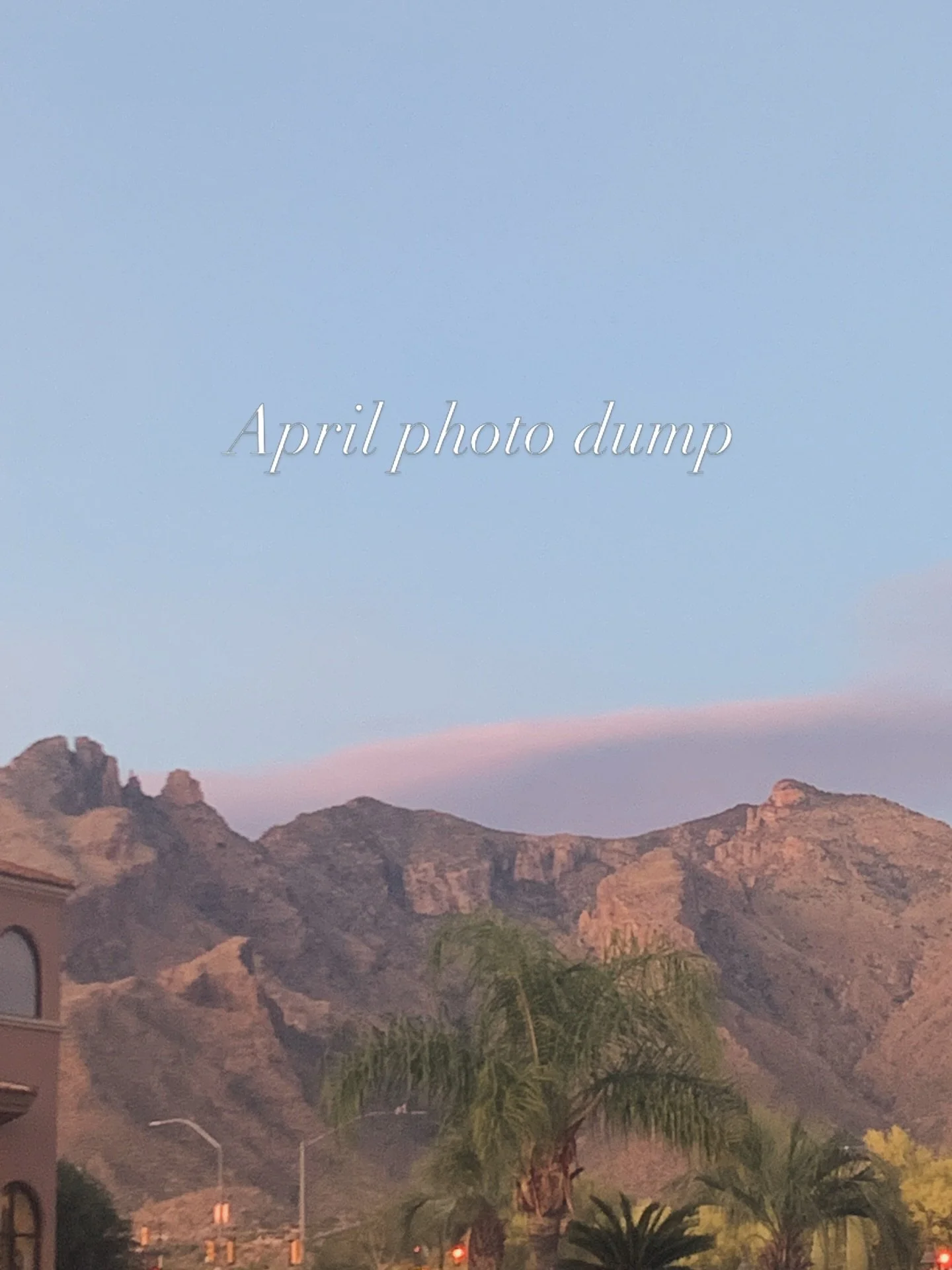 In the desert, spring suddenly erupts and it catches you off guard. Weren&rsquo;t these flowers always blooming? Why did I miss them? 

I am on the edge of some life changes. In this space I am trying my best to stay present, enjoy the now, and also 