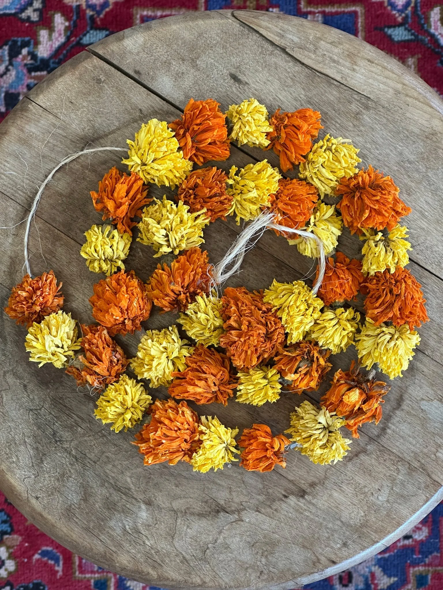 MARIGOLD GARLANDS ARE HERE!
These festive and colorful dried floral creations are a celebration of the season, grown and created by us 🥰. We have several 3' strands available in the Shop, and they're already selling fast. When they're gone, that's