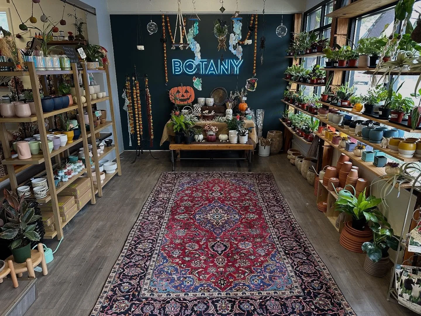 We have a lot of new followers here lately - we just crossed the 5k mark - wahoo! 🙌🥹🥲
I thought it may be a good time to re-introduce you to the space that started it all: The Botany Shop, located at 909 Portage Avenue in South Bend.
We’re