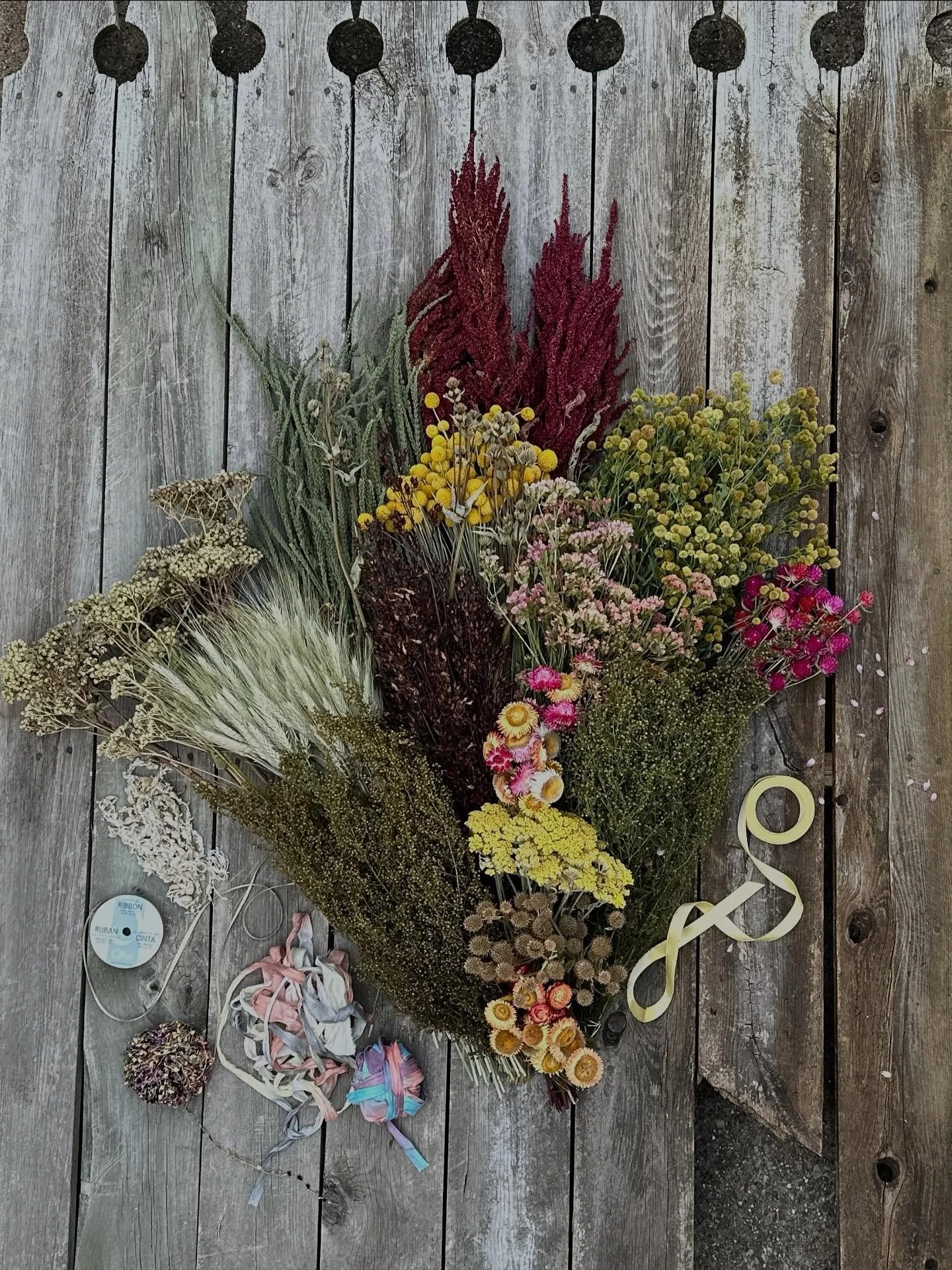 It is ALL about the dried florals right now. The final harvests are coming in, and we’re beginning to put the field to bed for winter. 
I thought you might enjoy seeing some of the behind the scenes, including this *swoon* gorgeous assembly of