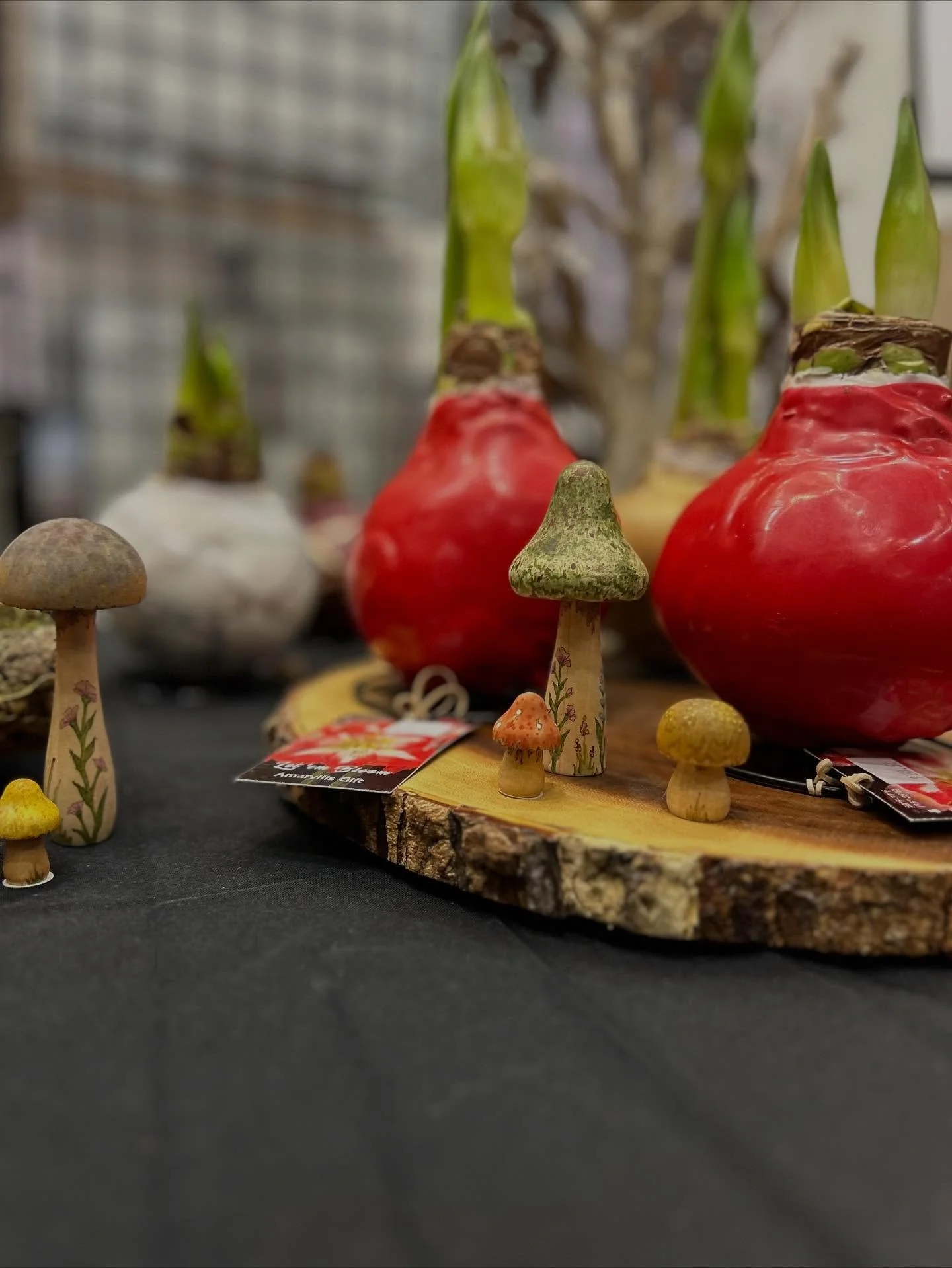 Find us along with @sharingmeraki at the second and final day of the Artisan Market at Century Center! We&rsquo;re here until 3p today.

And, the Shop will be open special hours today, Sunday, noon-3. Why? Just cause 😉. We normally aren&rsquo;t open