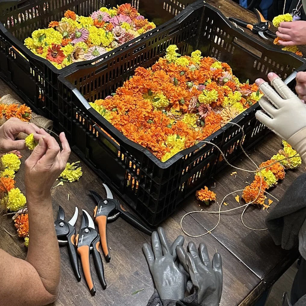 We're setting our New Year's intention early, starting with a completely re-imagined learning catalog for 2026&mdash;and it's live right now. We're thrilled to share everything we have planned for our community of plant lovers, makers, and curious mi