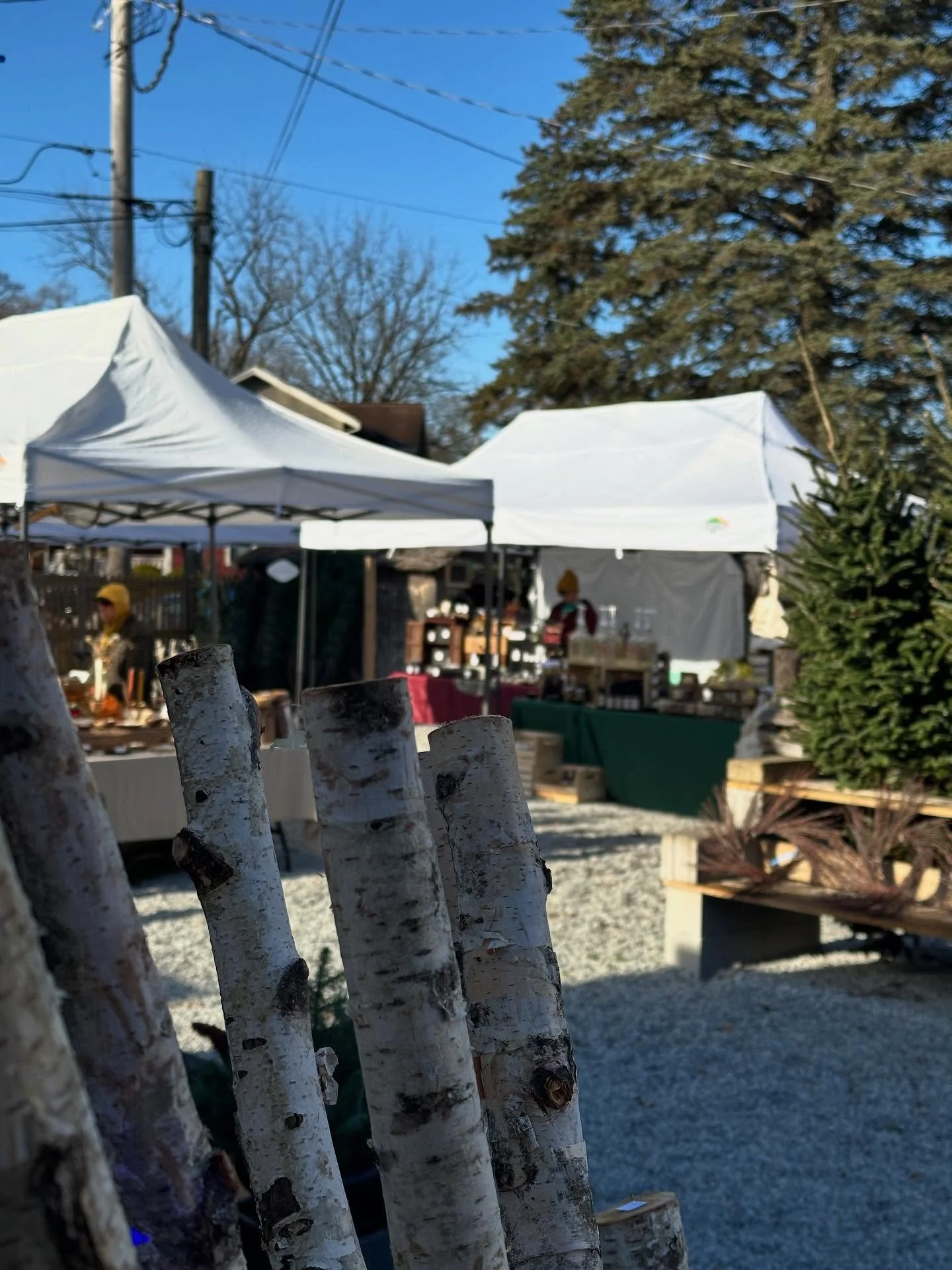 🛍️ HOLIDAY MARKET TOMORROW! 10a&mdash;4p

Our second Magical Holiday Market of the year is coming up tomorrow, Saturday, December 6. We&rsquo;ll be joined by ten makers and artisans with exceptional local products, great for thoughtful and intention