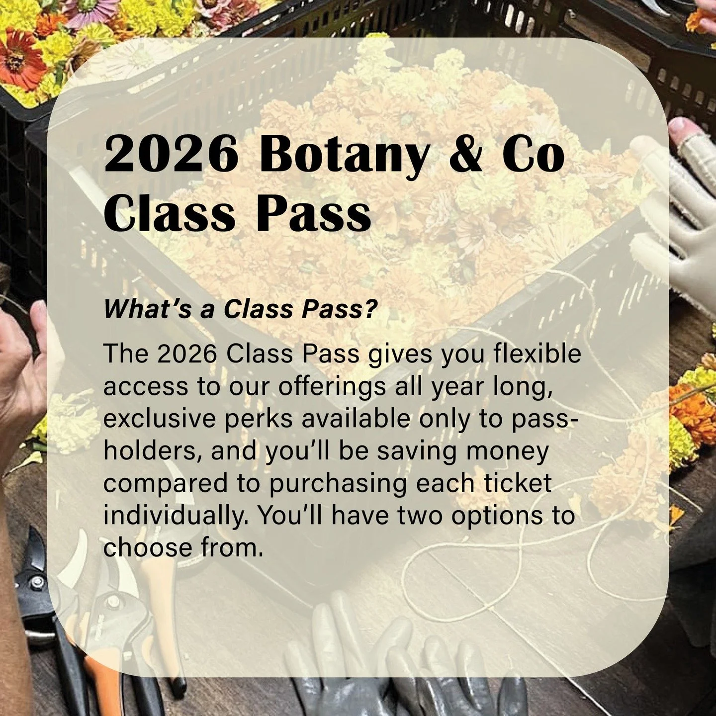 The Shop is CLOSED today, Tuesday, for a private holiday class - our final special closure of the season. 

But - we're ALWAYS open online, including our new and improved and expanded learning catalog which is flush and abundant with our winter class