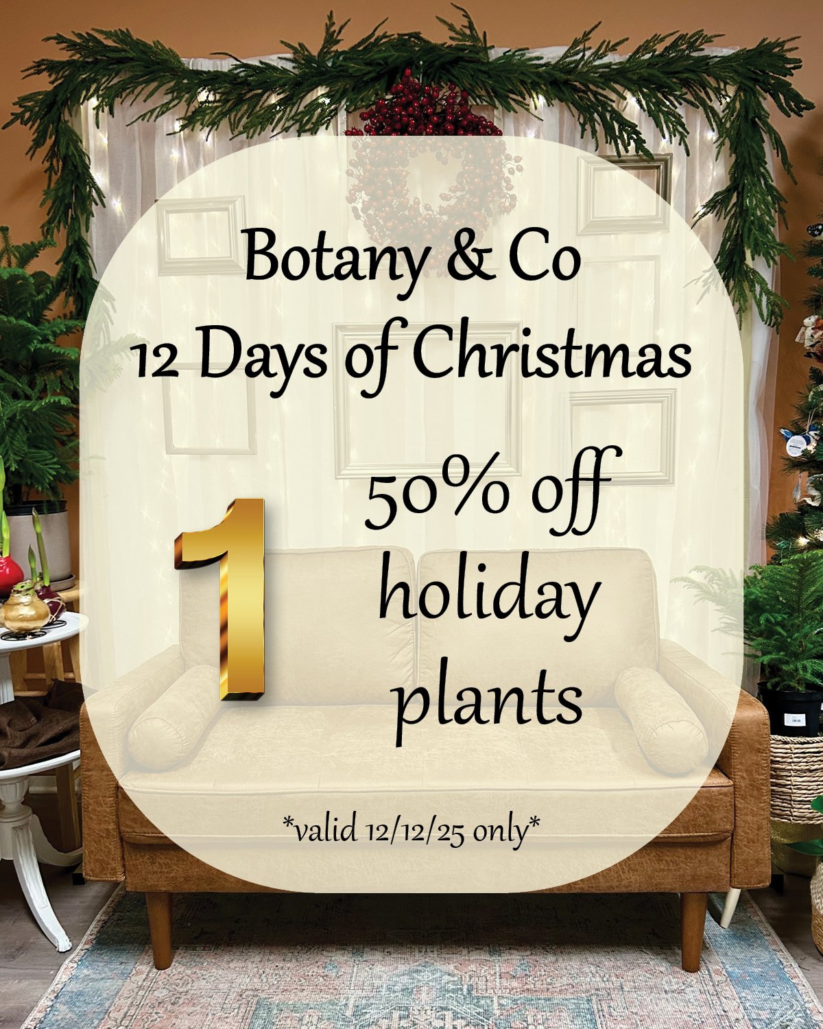 🎄 Botany &amp; Co&rsquo;s 12 Days of Christmas! 🎄

DAY ONE - Our favorite holiday plants are half off for Day 1 of our 12 Days of Christmas! Amaryllis, Norfolk pine, lemon cypress, winterberry and more &mdash; all ready to brighten your home. One d
