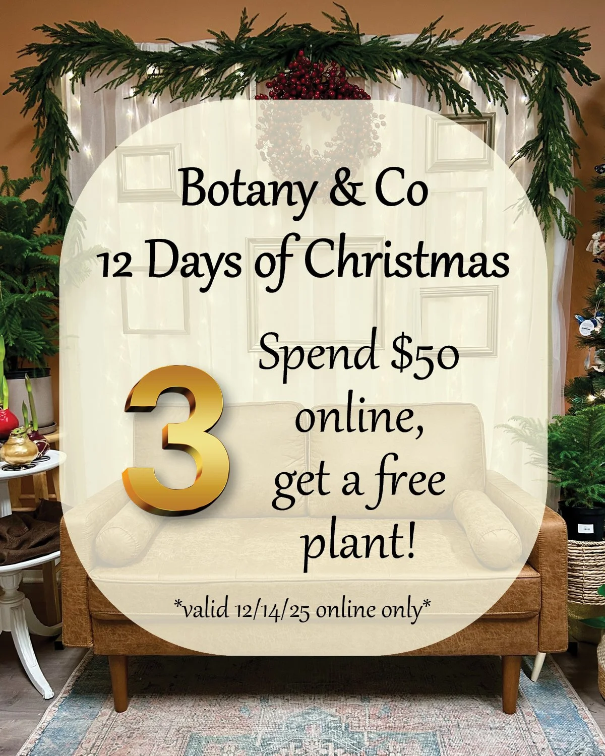 🎄 Botany &amp; Co&rsquo;s 12 Days of Christmas! 🎄

DAY THREE - Day 3 is all about treating yourself &mdash; spend $50 online and get a free indoor plant added to your order. Pick it up when your order&rsquo;s ready and enjoy a little green surprise