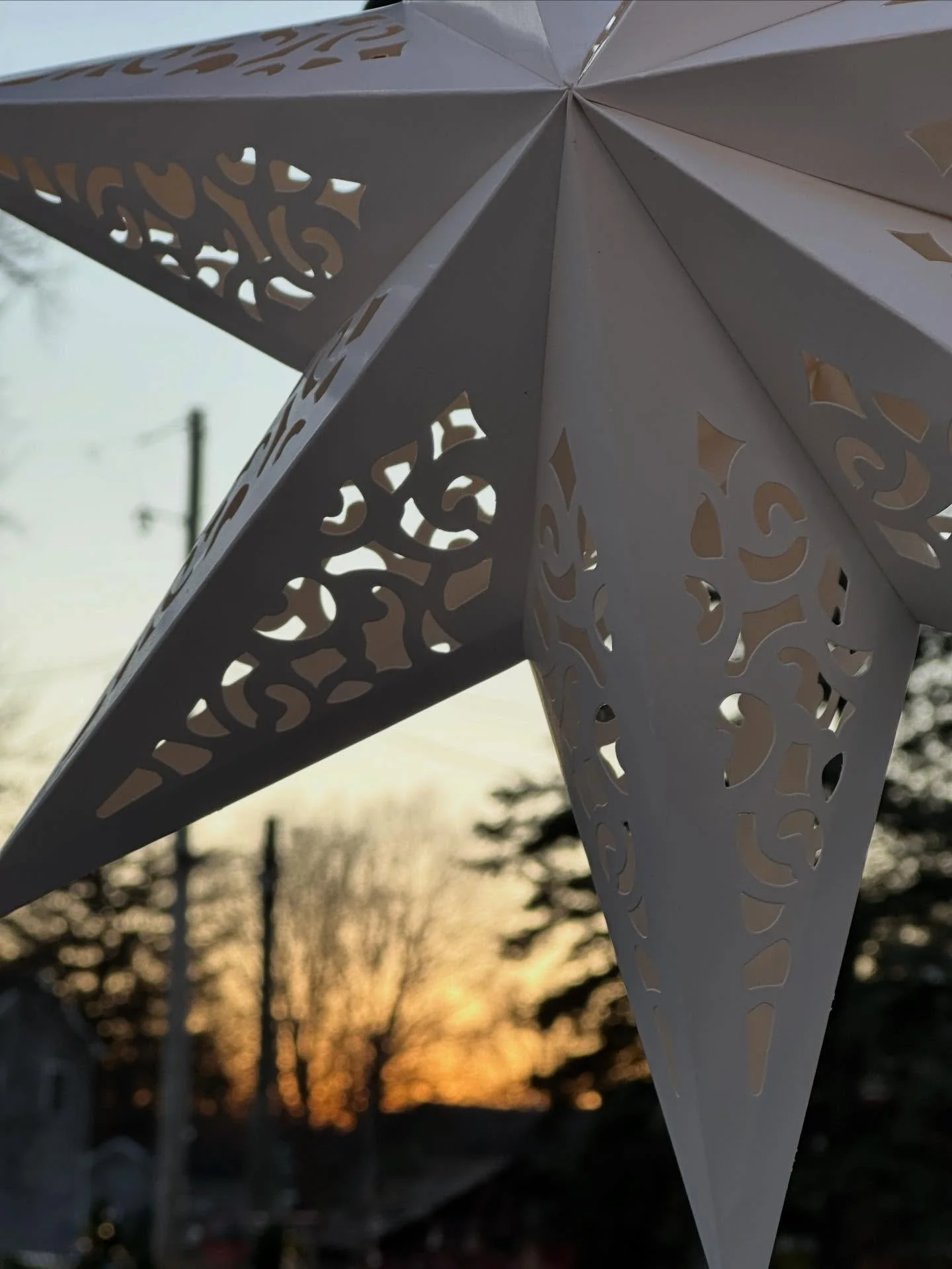 Aaaaand that&rsquo;s a WRAP! 

The Shop is now CLOSED for Winter Break. After one of our busiest holiday seasons yet, our entire team is due for a solid few days of rest, feeling all the gratitude for the love you poured in to us this season and this