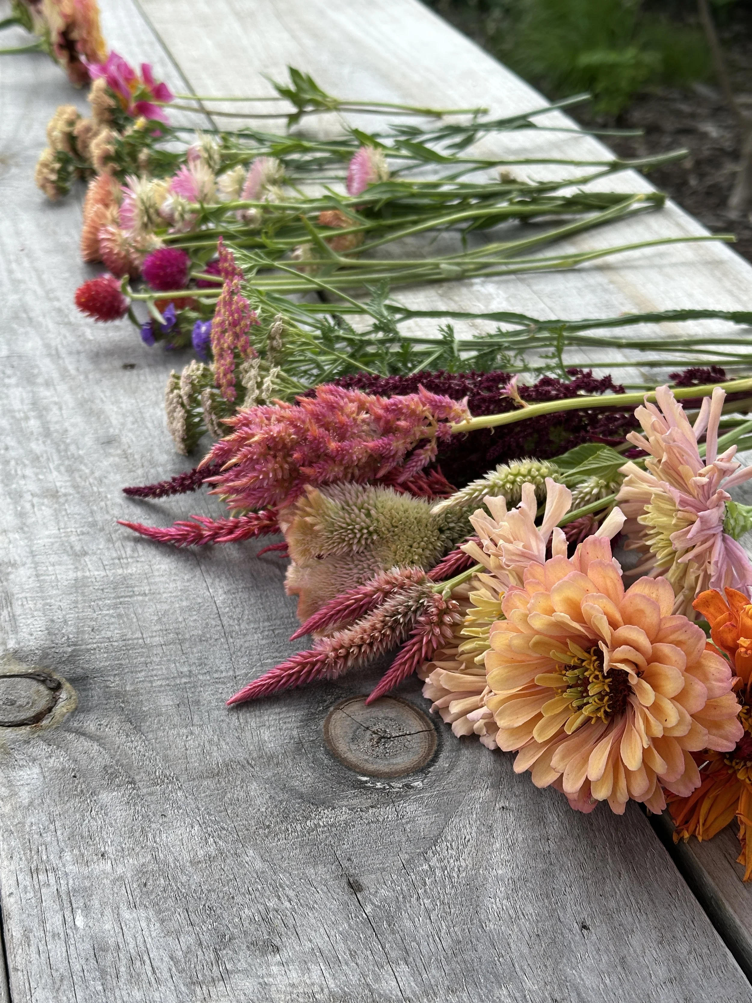 2026: A Year of Flowers