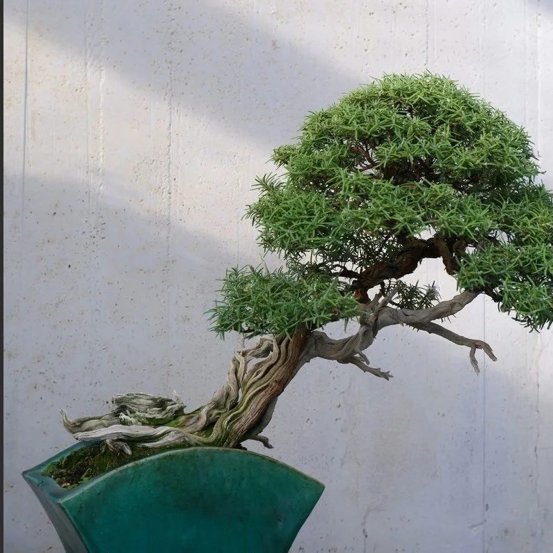 It&rsquo;s time to get serious about February classes and workshops 🤓.

Every time I post a new drop of offerings I think, &ldquo;Wow, I&rsquo;d love to take each and every one of these.&rdquo; Especially as we search for ways to reconnect in person