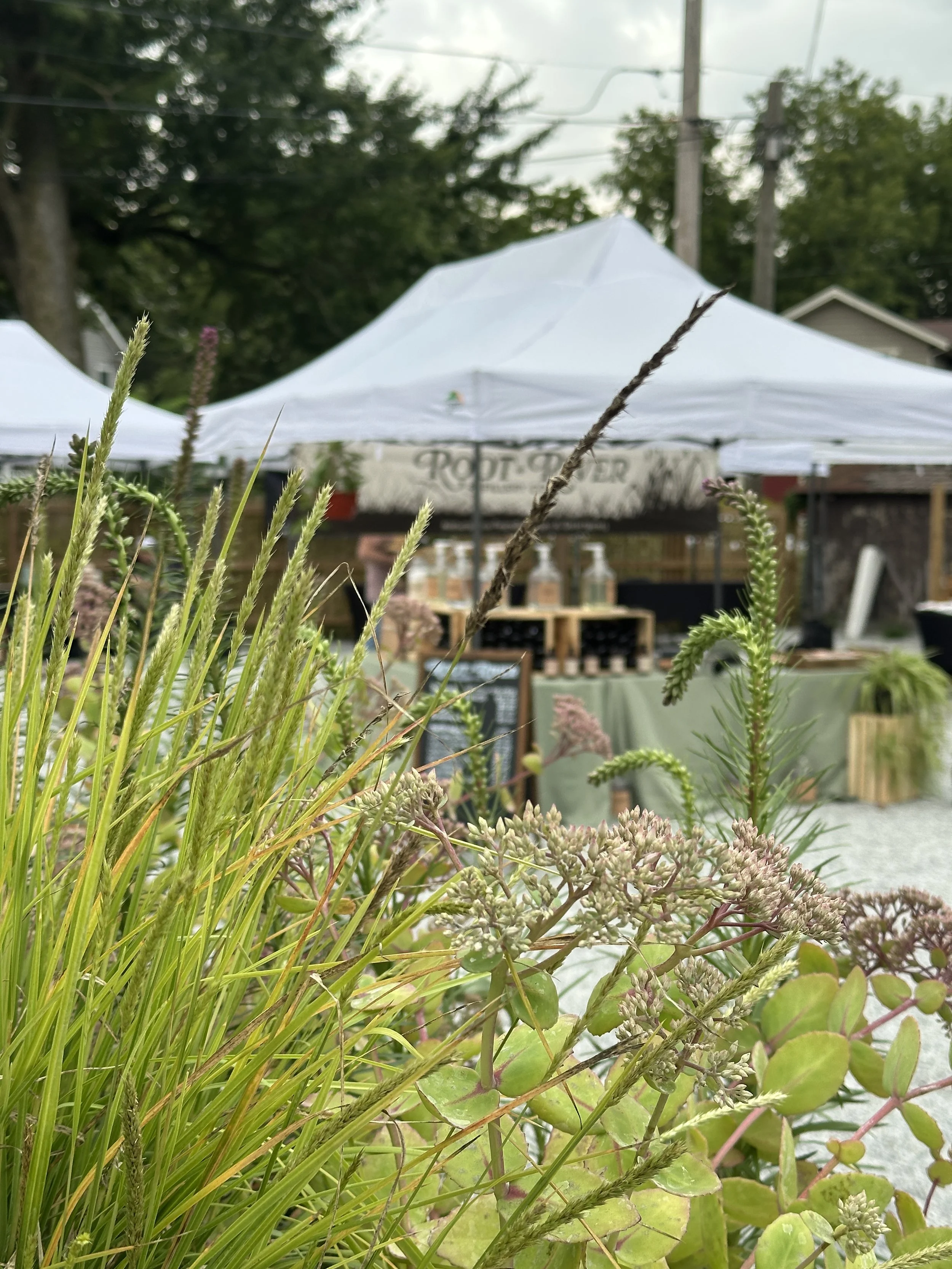 Autumn Garden & Antique Market