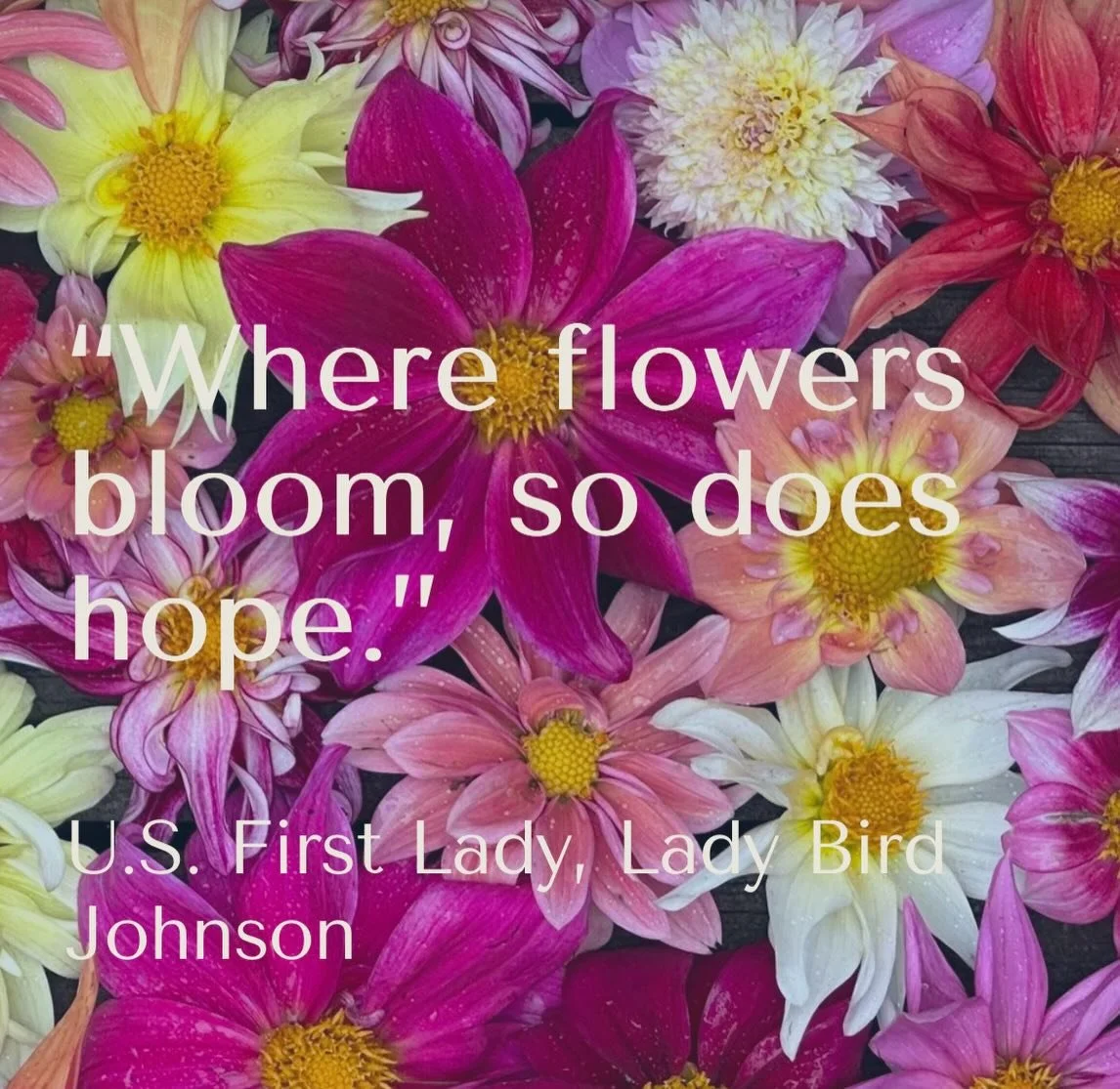 Botany &amp; Co. is closed today as we join communities across the country in protest. 

Many local businesses (near and far) aren&rsquo;t able to close because even a single day without sales this time of year can be devastating. Many who are open a