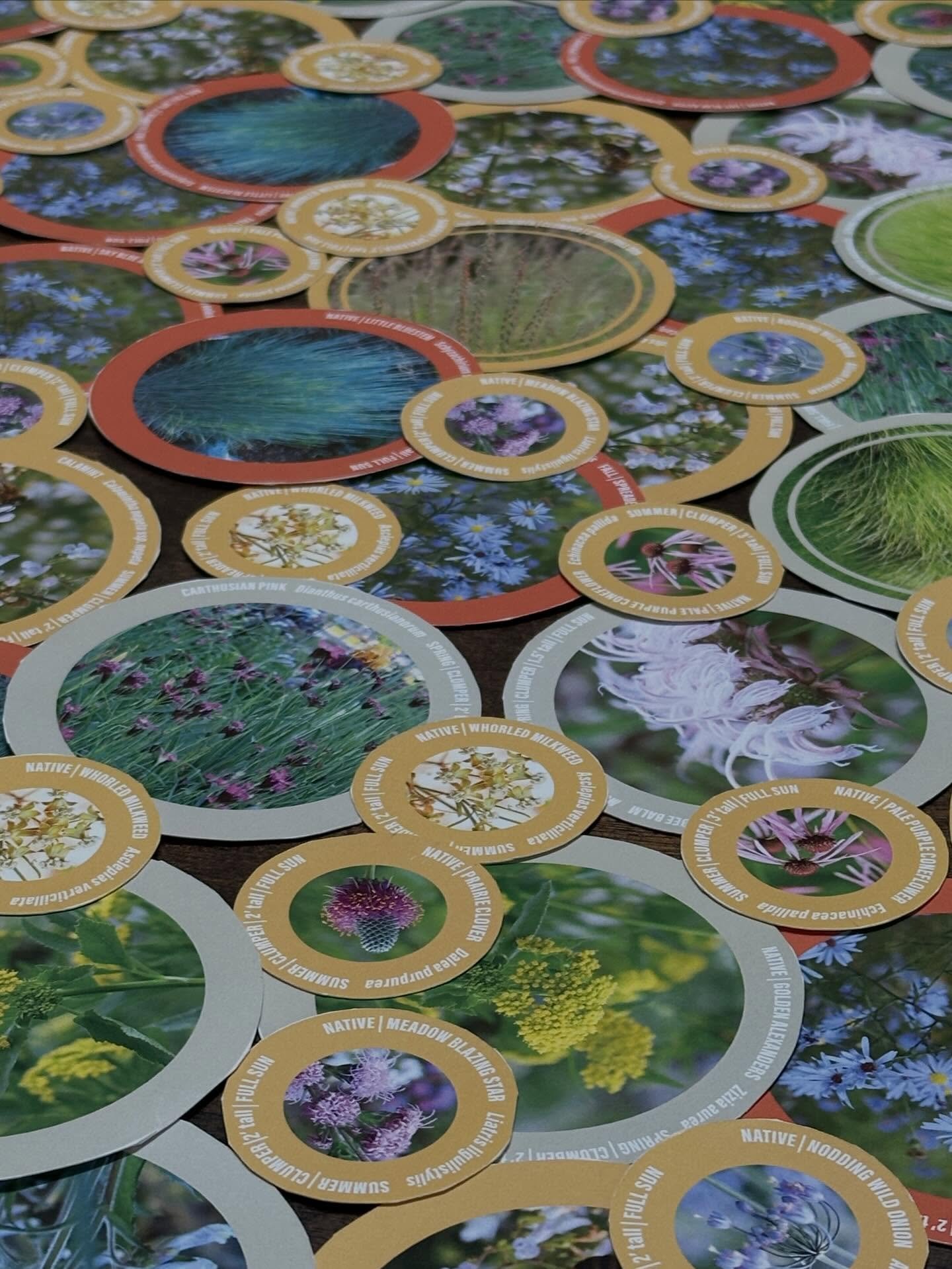 It&rsquo;s no secret I&rsquo;m on a mission to encourage and empower more people to grow more plants in more places, especially when it comes to rethinking and replanting conventional lawns as something better. (Better = a garden 😉🤓)

A few times e