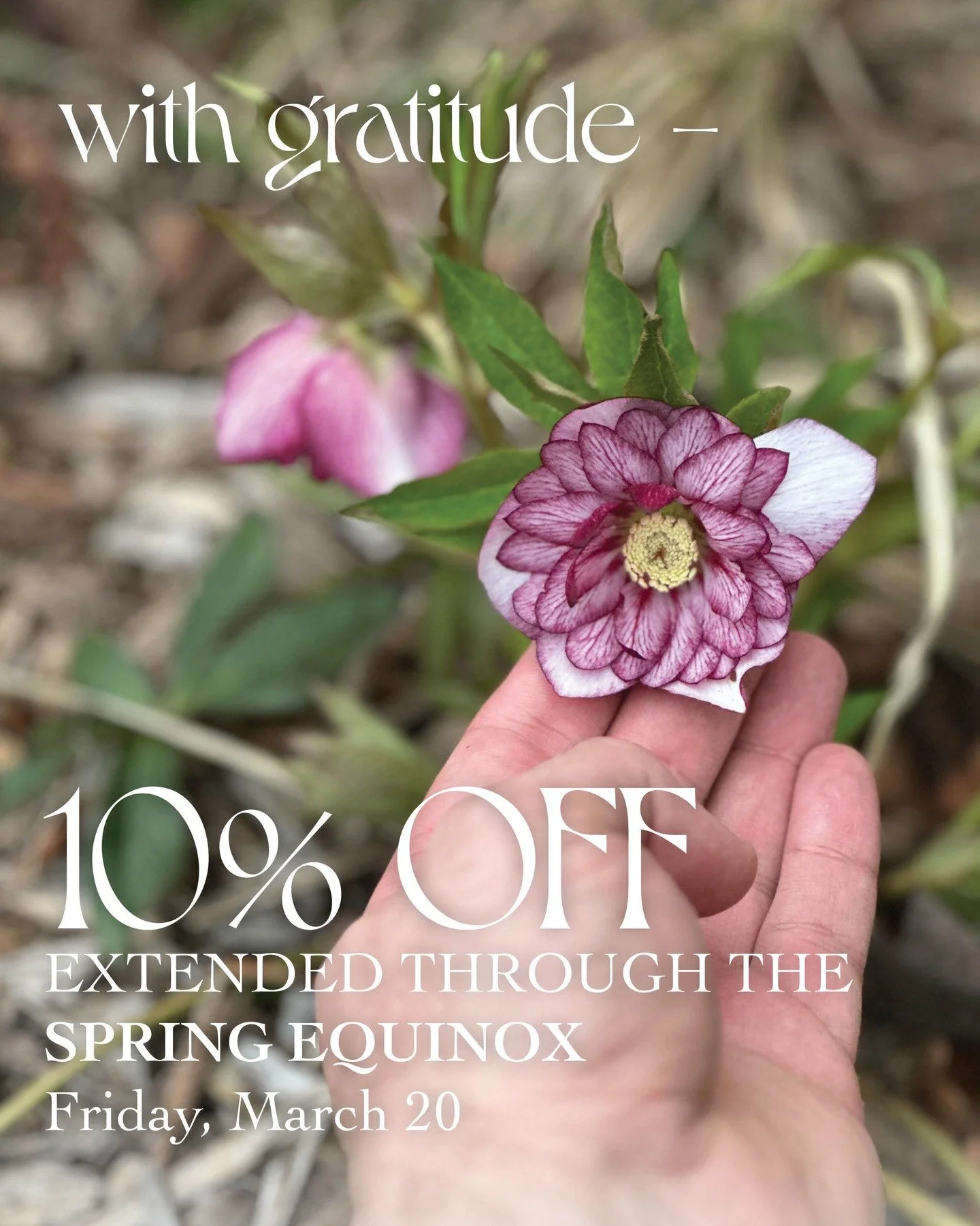 Hey there, plant lovers -
 
As I take a few moments for a deep breath after the launch of our spring preorder a few days ago, I want to thank each and every one of you for showing up and supporting our local, independent, and family-owned business.
 