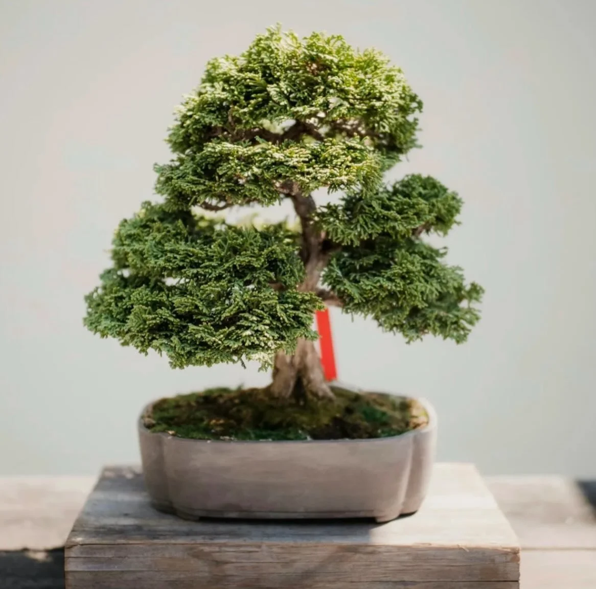 As the seasons change you&rsquo;ll notice some new offerings in the learning catalog! I&rsquo;m so excited to share these with you, especially since a few are *brand new* first time offerings thanks to some amazing guest instructors ❤️. Here&rsquo;s 