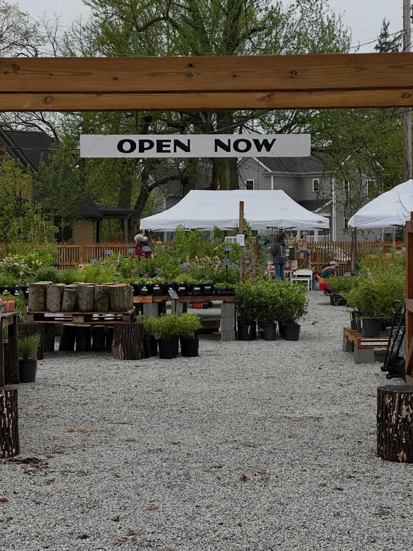 The Lot Next Door is officially back for another season, and our open hours are expanding as a result. 

Starting tomorrow, Botany &amp; Co. is now open on Wednesdays, 11-5, AND The Lot will *match* the hours of the Shop, which means they&rsquo;ll bo