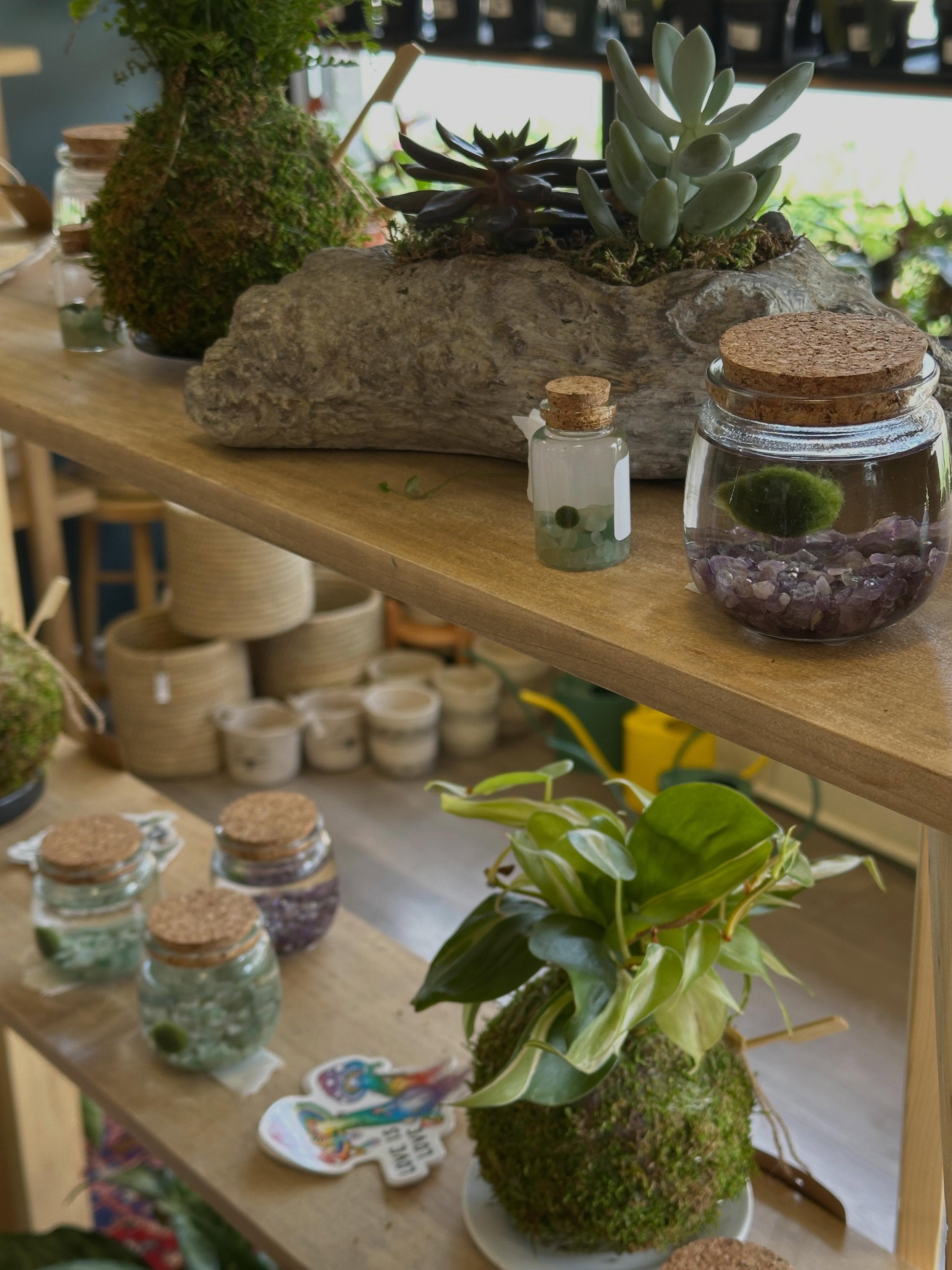 New summer products have begun to arrive, and these are just a few of my favorites right now (more are on the way, maybe before the weekend?) 

I&rsquo;m going for a &ldquo;spend time outside/get away from your screens&rdquo; vibe this summer, someth