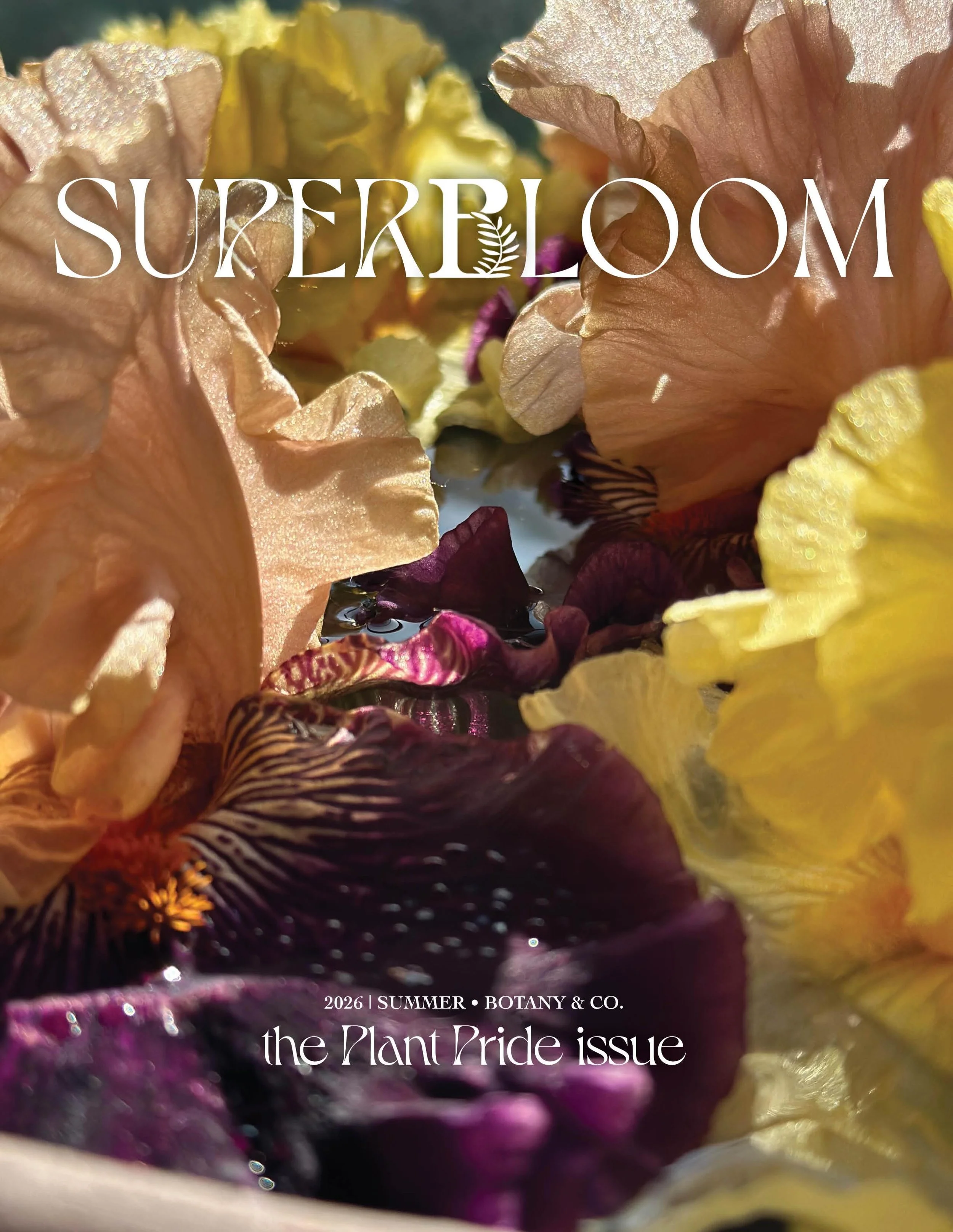 SUPERBLOOM is back for its sophomore issue. I can hardly believe it. Wasn&rsquo;t it March just, like, a couple days ago? 

Coming in at 36 pages, it&rsquo;s no accident this issue is launching on June 1, the start of Pride Month. As a queer-owned, p