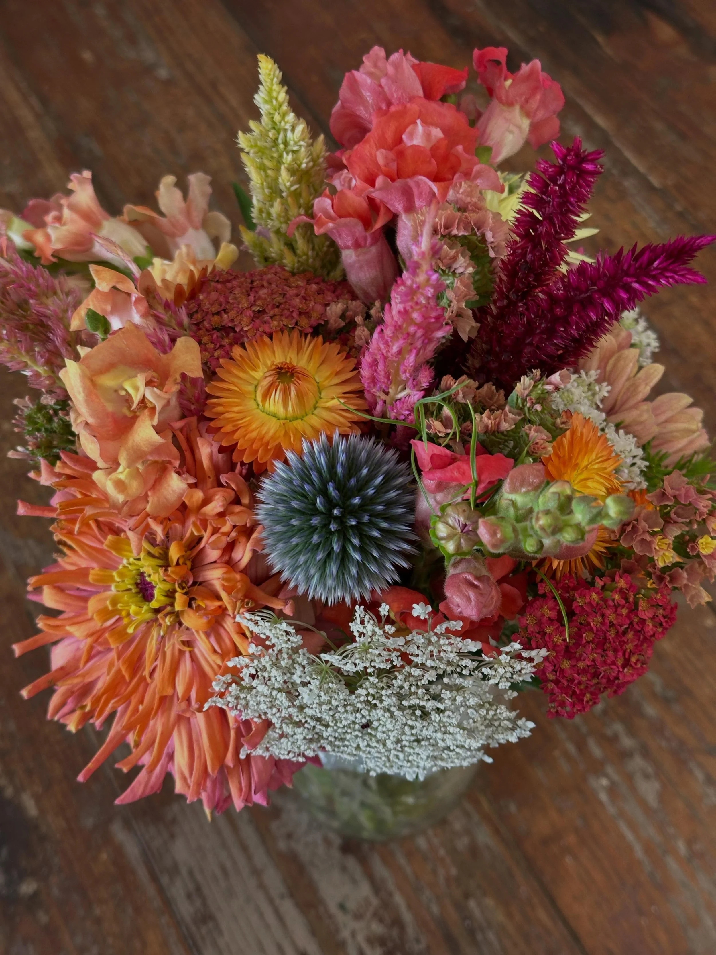 The events of yesterday deserve a spot on the grid. So, here goes. 

Yesterday was the first harvest and delivery of our 2026 summer bouquet subscriptions. Six weeks of flowers grown right here, by yours truly, just behind the shop. 

This space (the