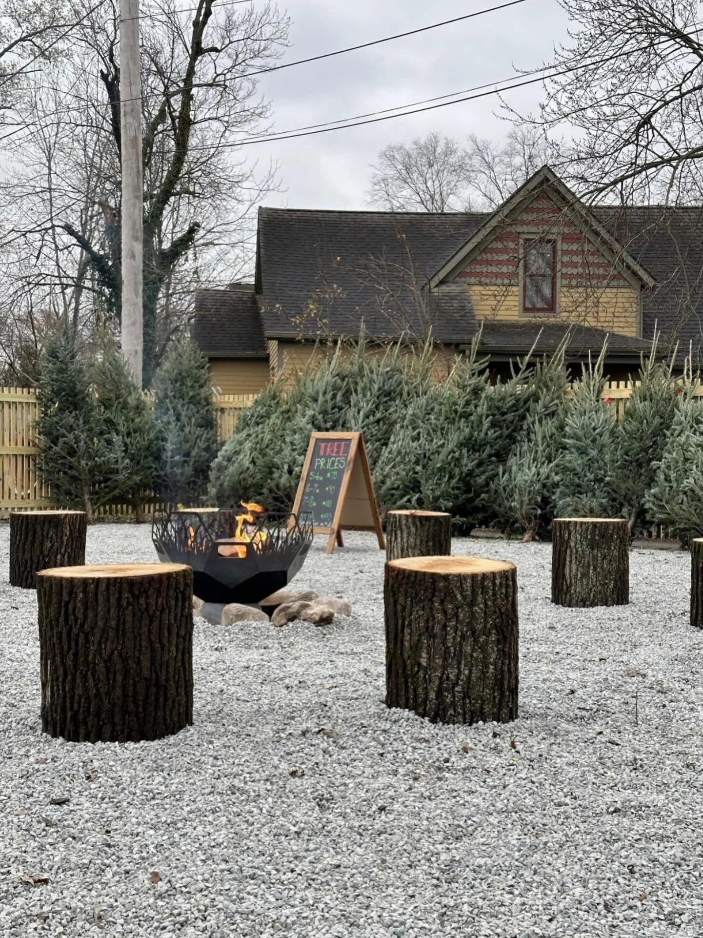 Your eyes do NOT deceive you as this is indeed a photo of Christmas trees in The Lot Next Door. How come? 

Starting today, July 31, it&rsquo;s officially Christmas in July here at Botany &amp; Co. for the next week! (Yes I know this is the last day 