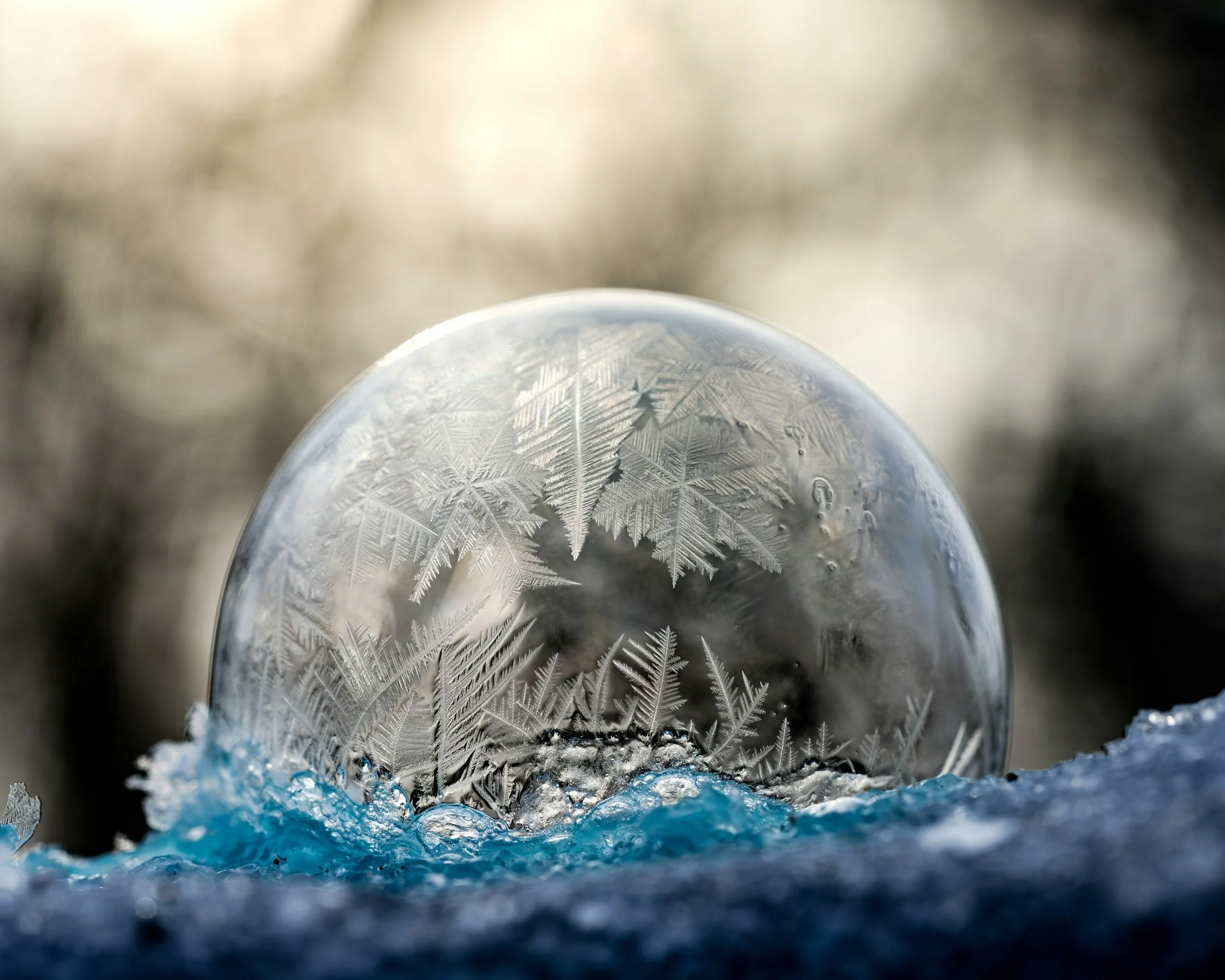 Luminous: A Winter Solstice Celebration