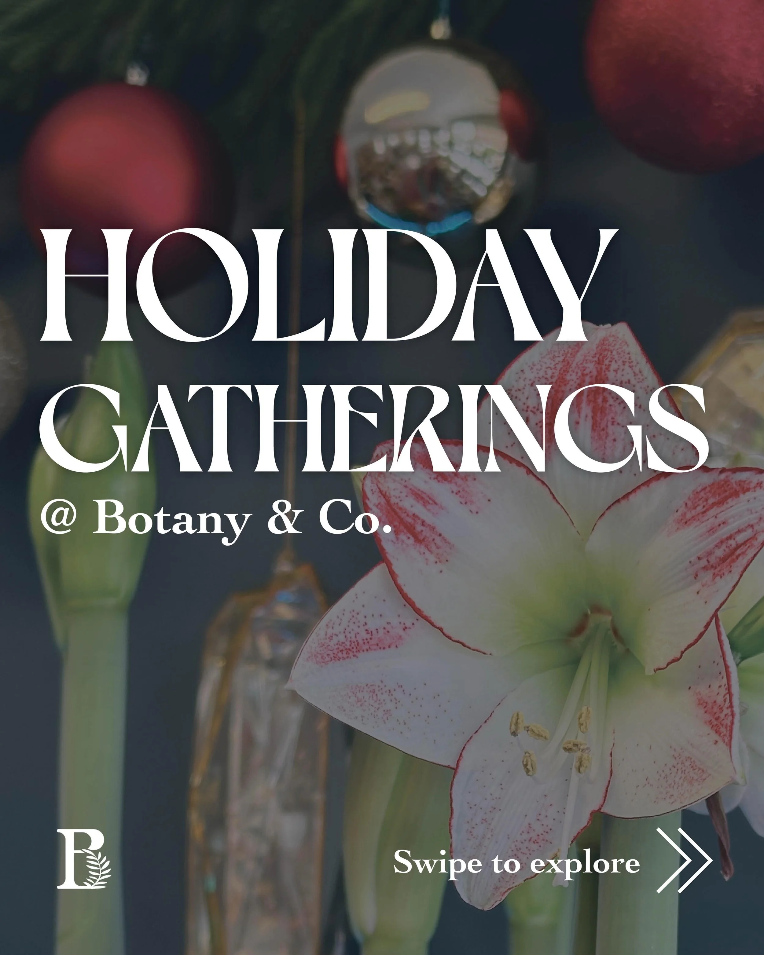 In the business of independent shops like ours, the holidays are a high point of our year, a make-or-break season. We devote months of planning, dreaming, and hard work to bring it to life each year. 

We also happen to be living in a time when conne
