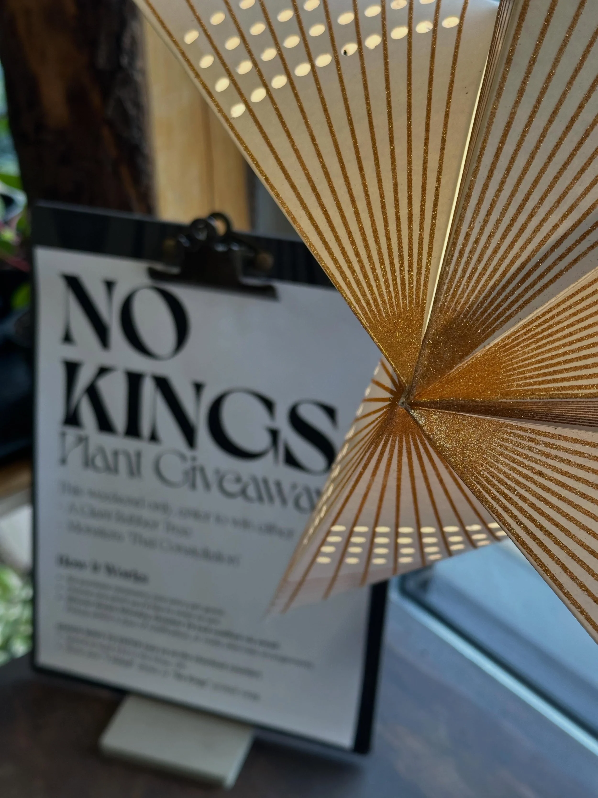 So there&rsquo;s a No Kings rally tomorrow, and folks are gathering in Leeper Park just a few blocks away. I thought it might be fun to add our own spice to the demonstrations, so either before or after the rally, stop by for a chance to win one of t
