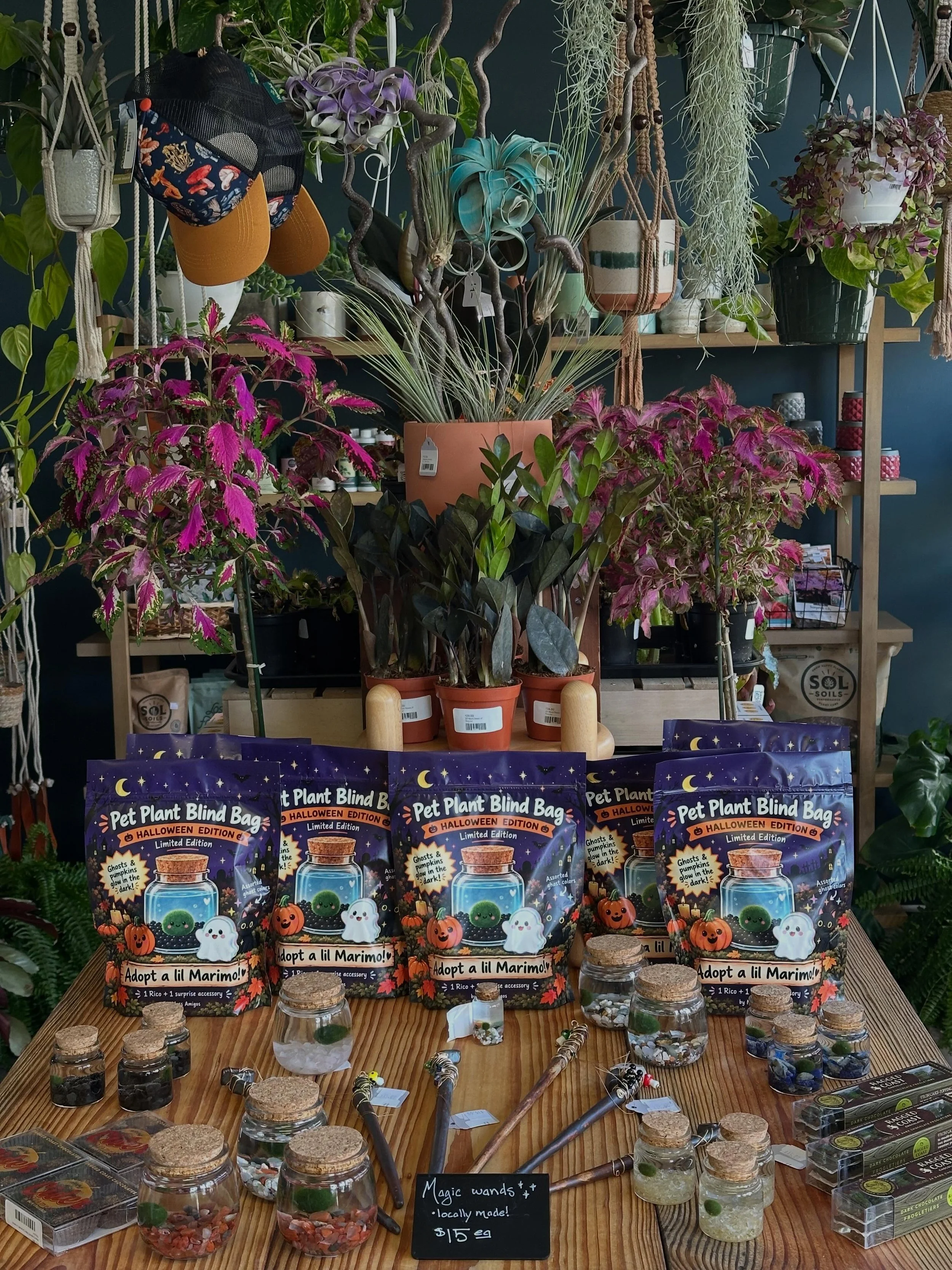 I really can&rsquo;t get over how much I love this table ✨💜All dressed up for Halloween with tricks and treats and magic wands. 

Now arriving: apple cider caramels and chocolate frogs to go with your magic wands and carnivorous plants.