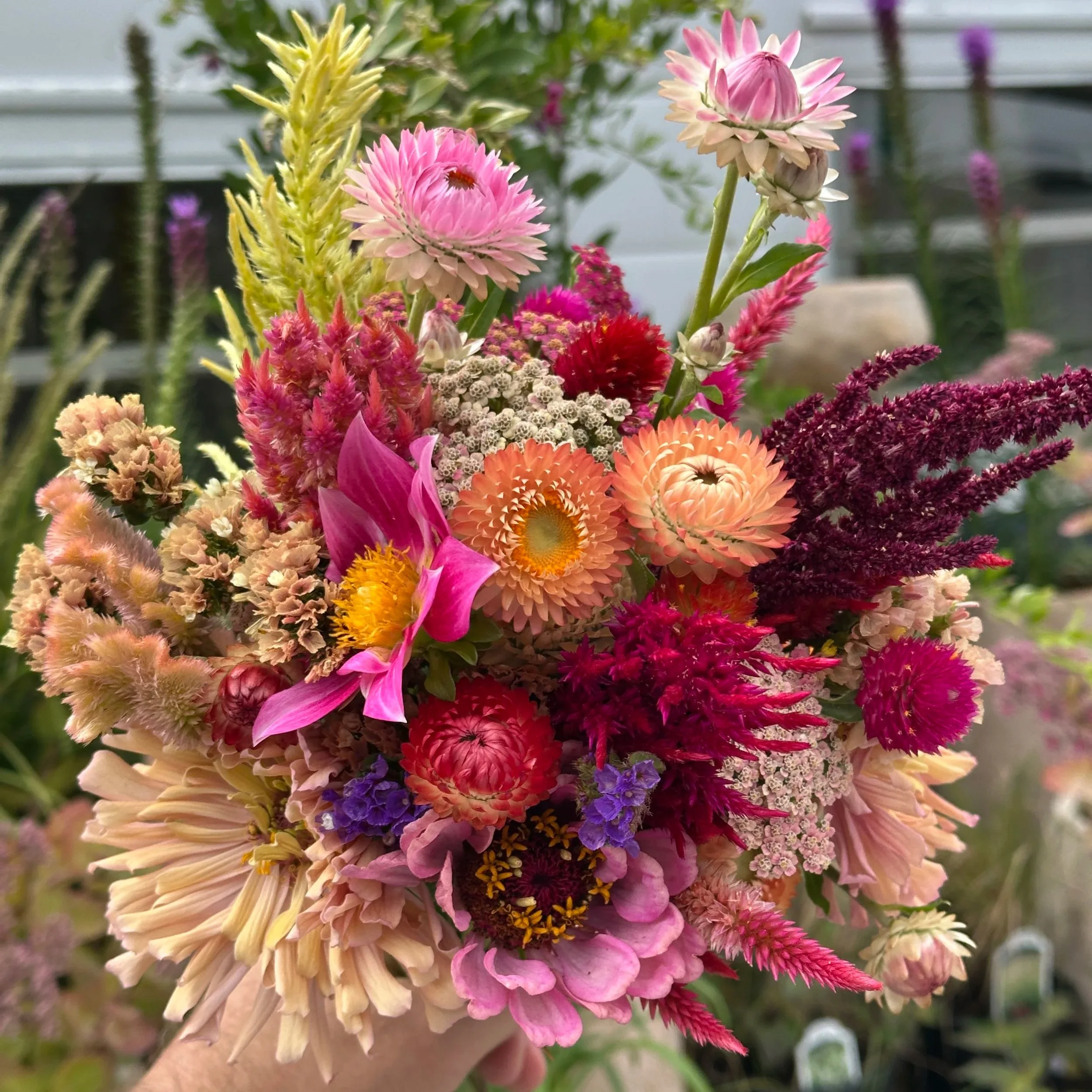 LATE SUMMER Flower Subscription