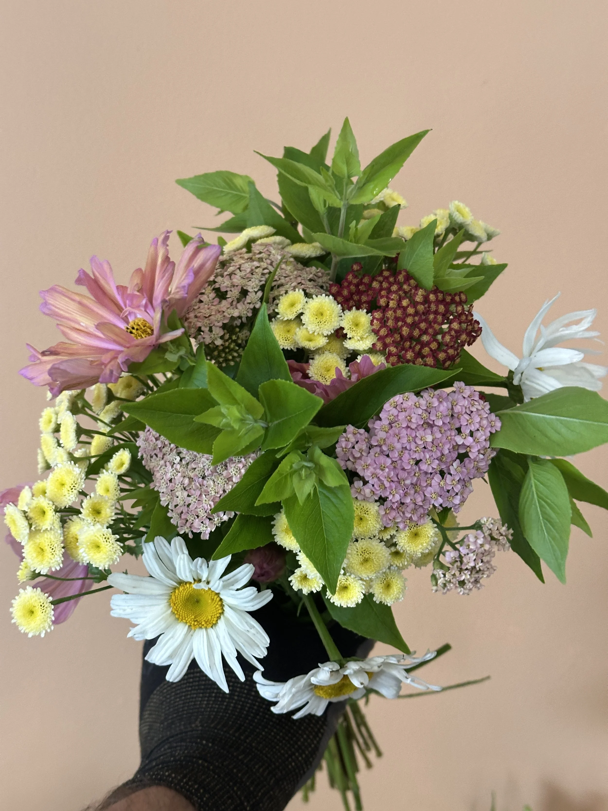 EARLY SUMMER Flower Subscription