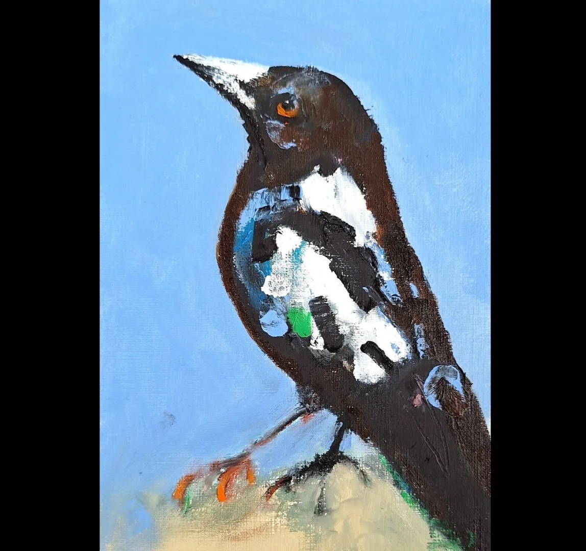 Small Magpie 3