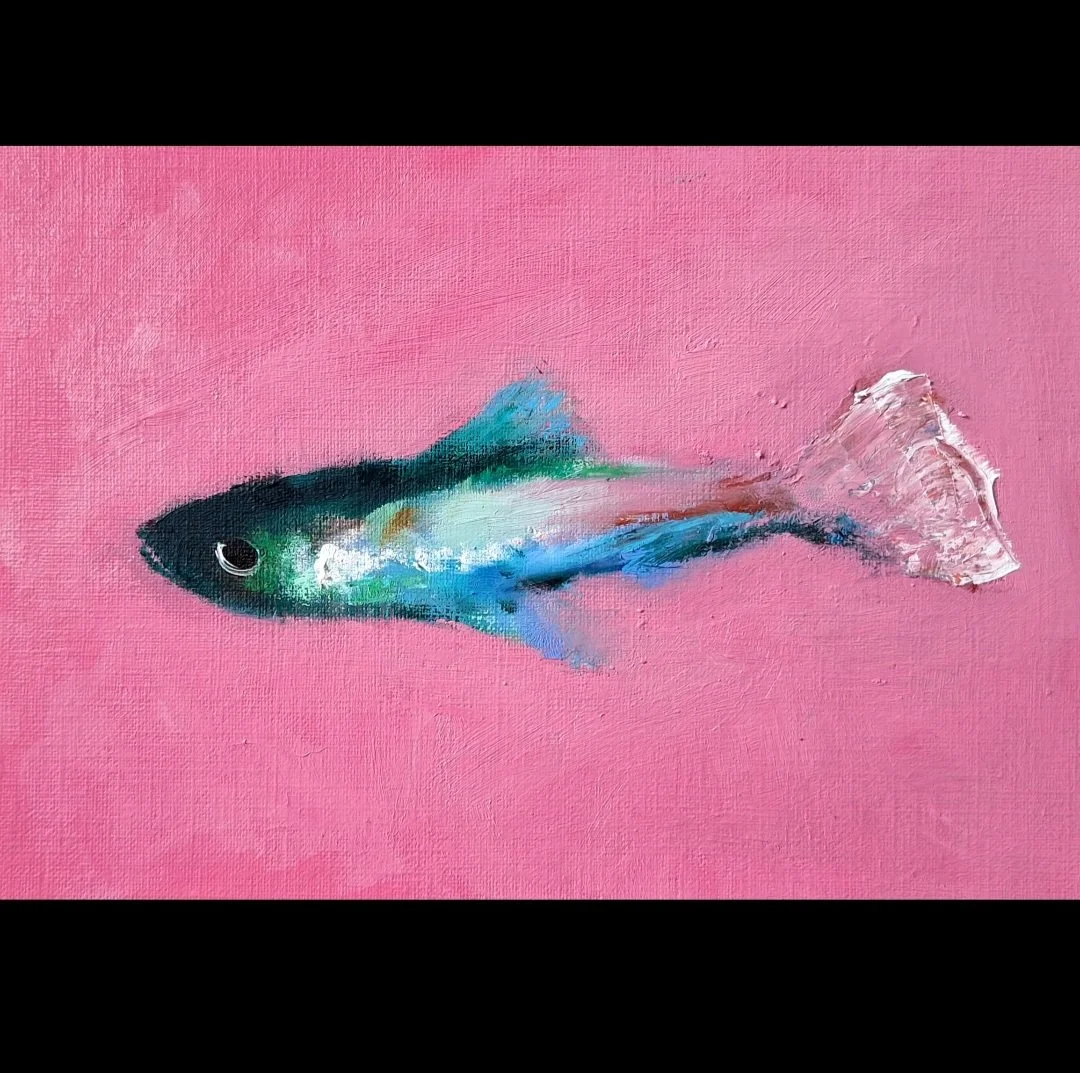 Small fish 6