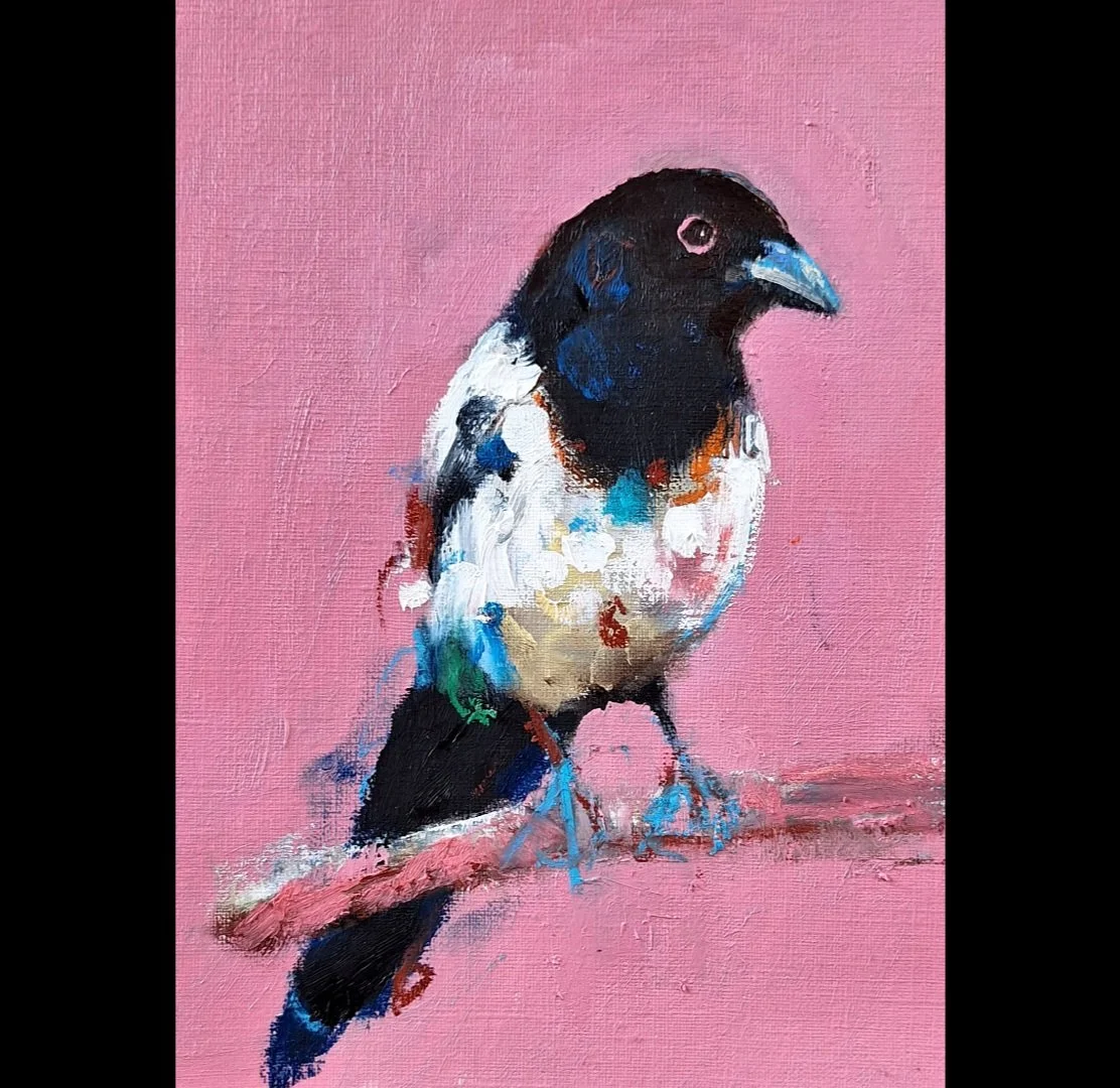Small Magpie 1