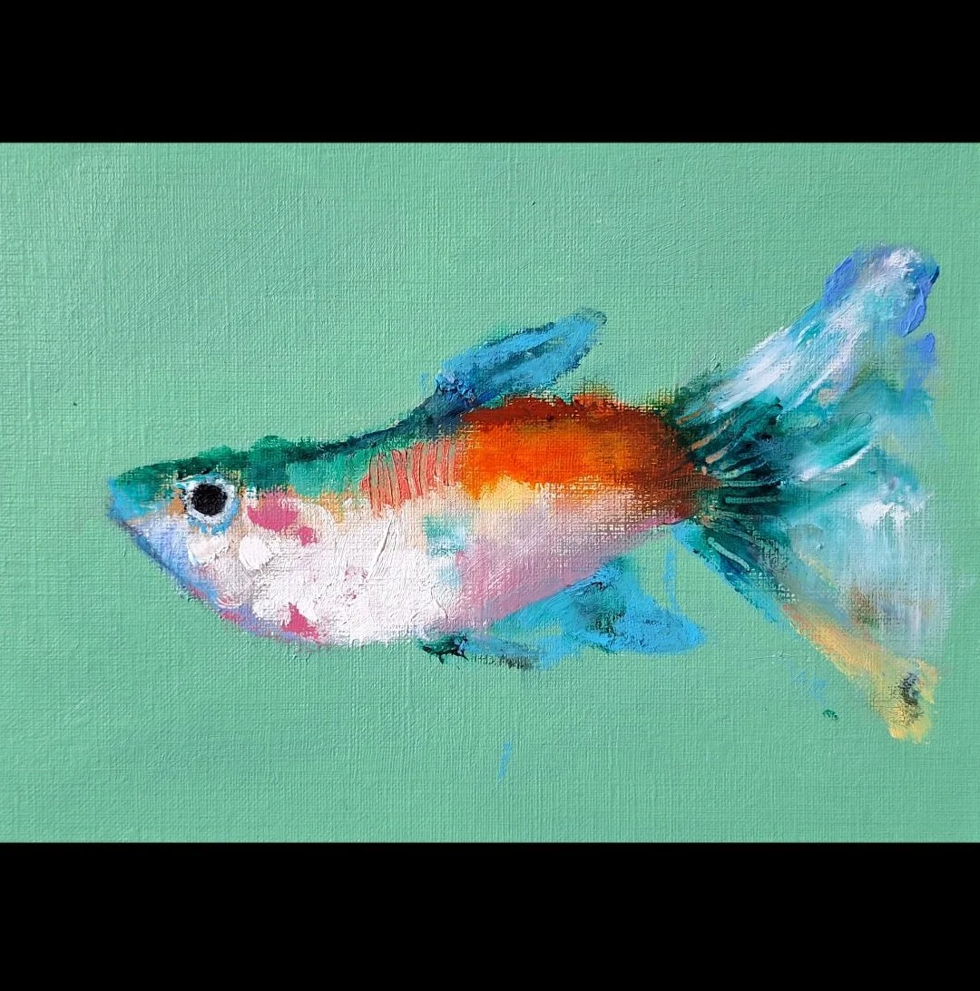 Small fish 5