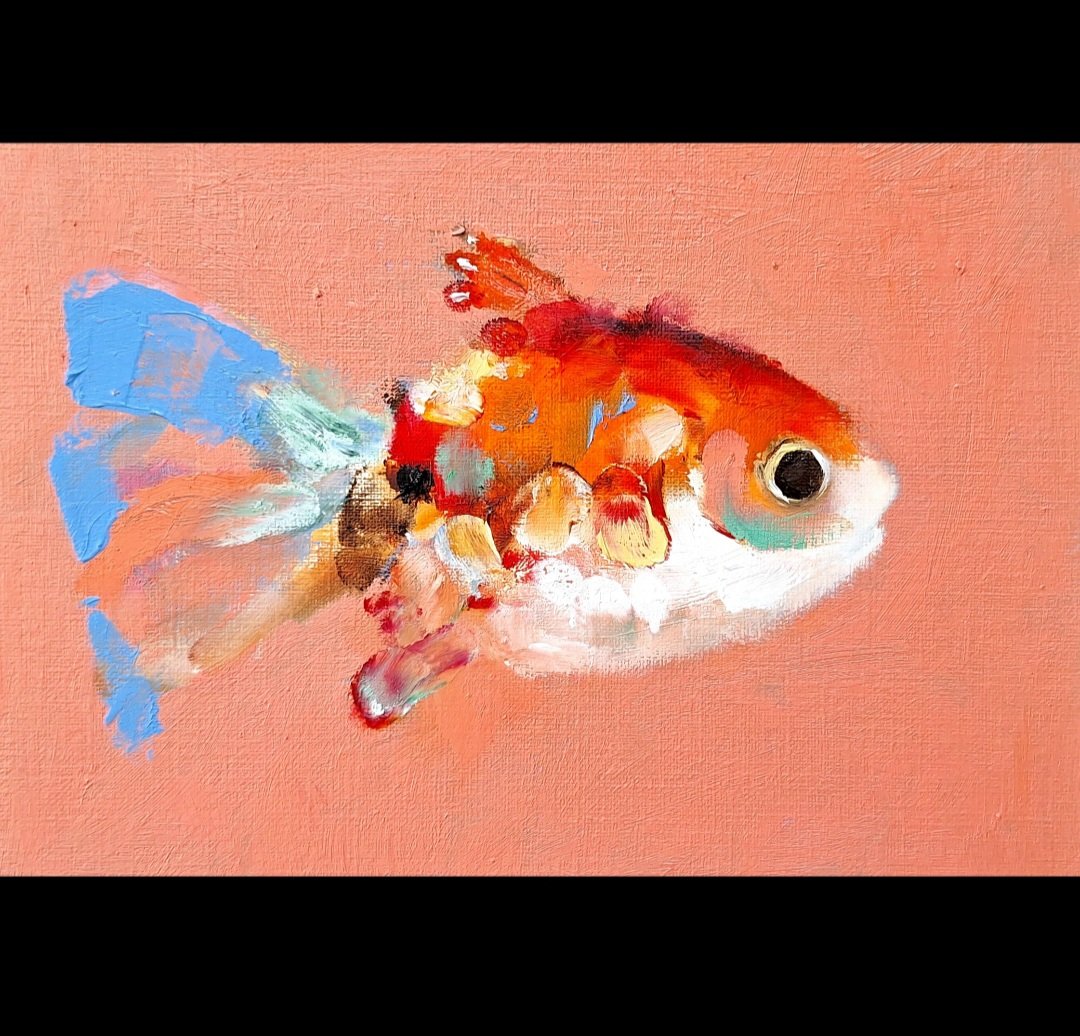 Small fish 1