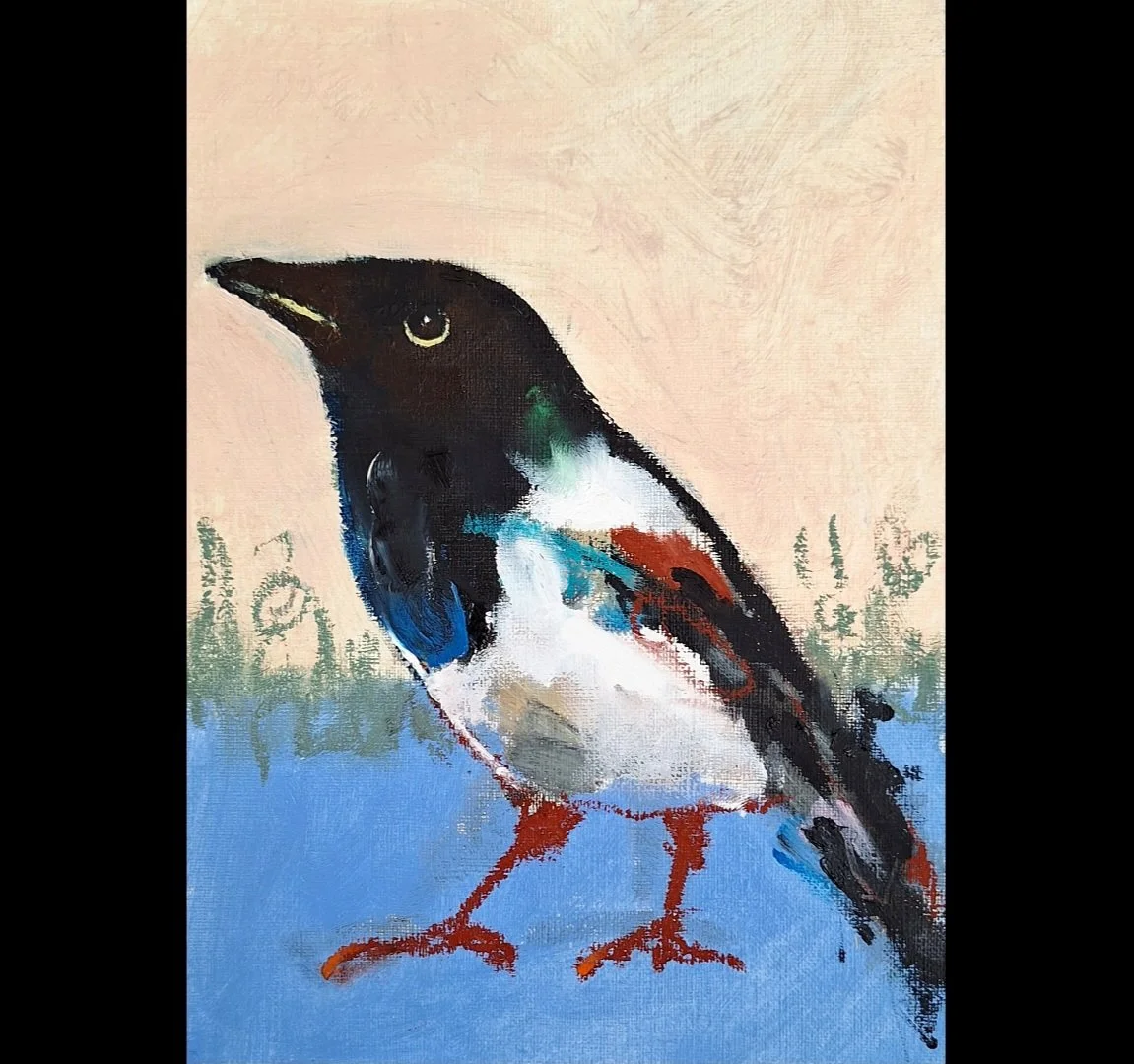 Small Magpie 5
