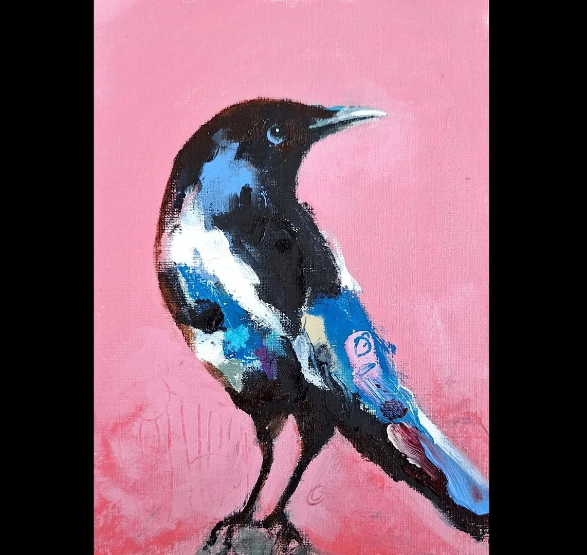 Small Magpie 4