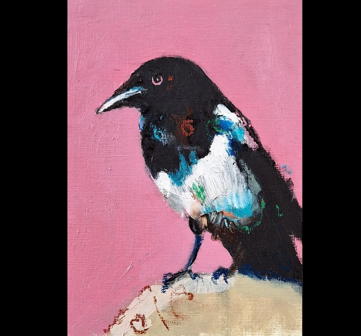 Small Magpie 2