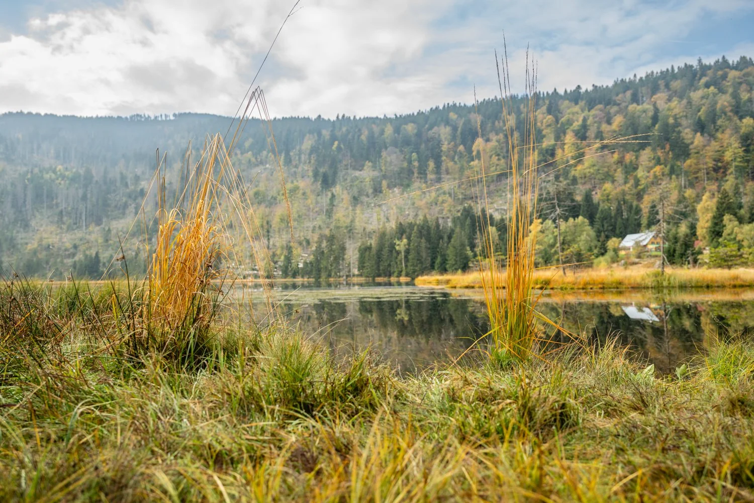 PGE-kleiner Arbersee-WP-03.jpg